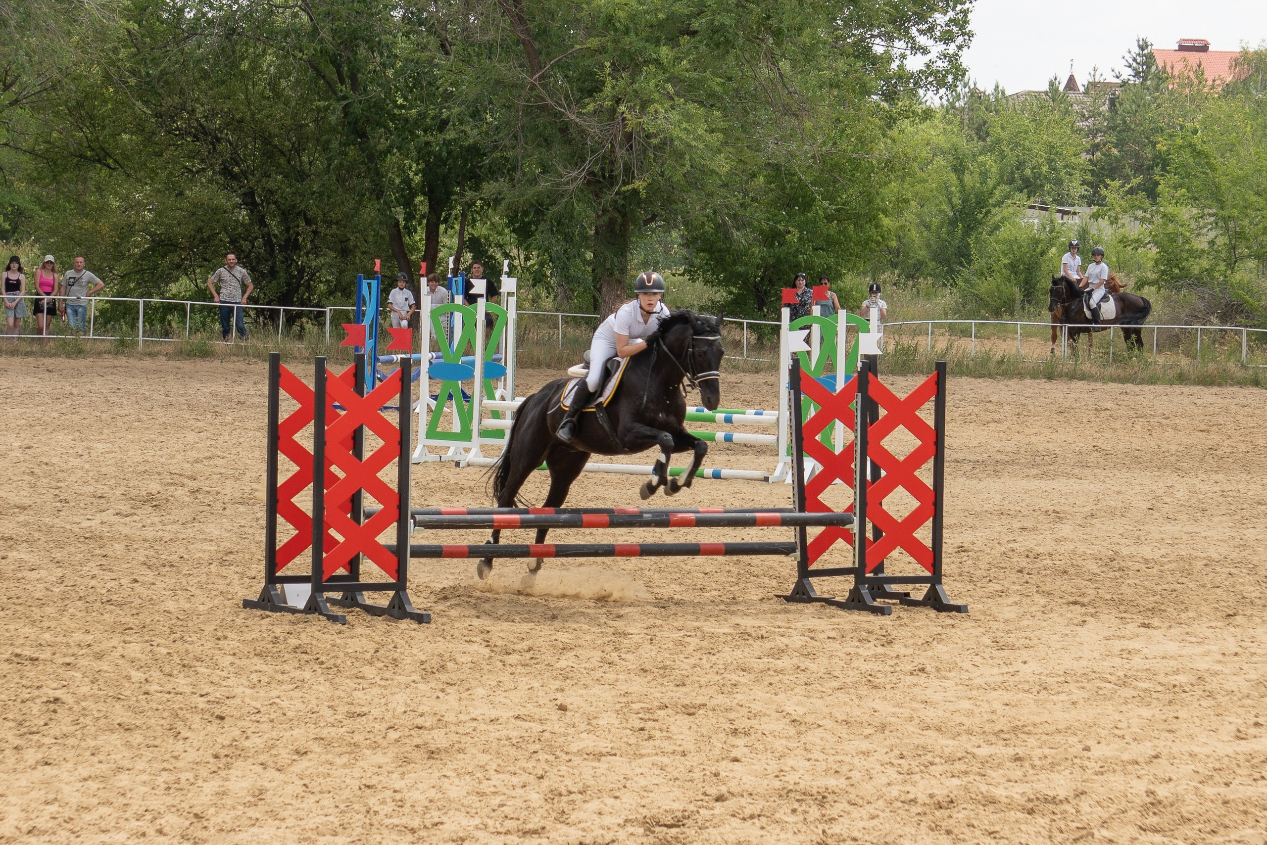 Соревнования по конкуру, Луганск. Фотограф в РФ и ЛНР Юлия Федосеева