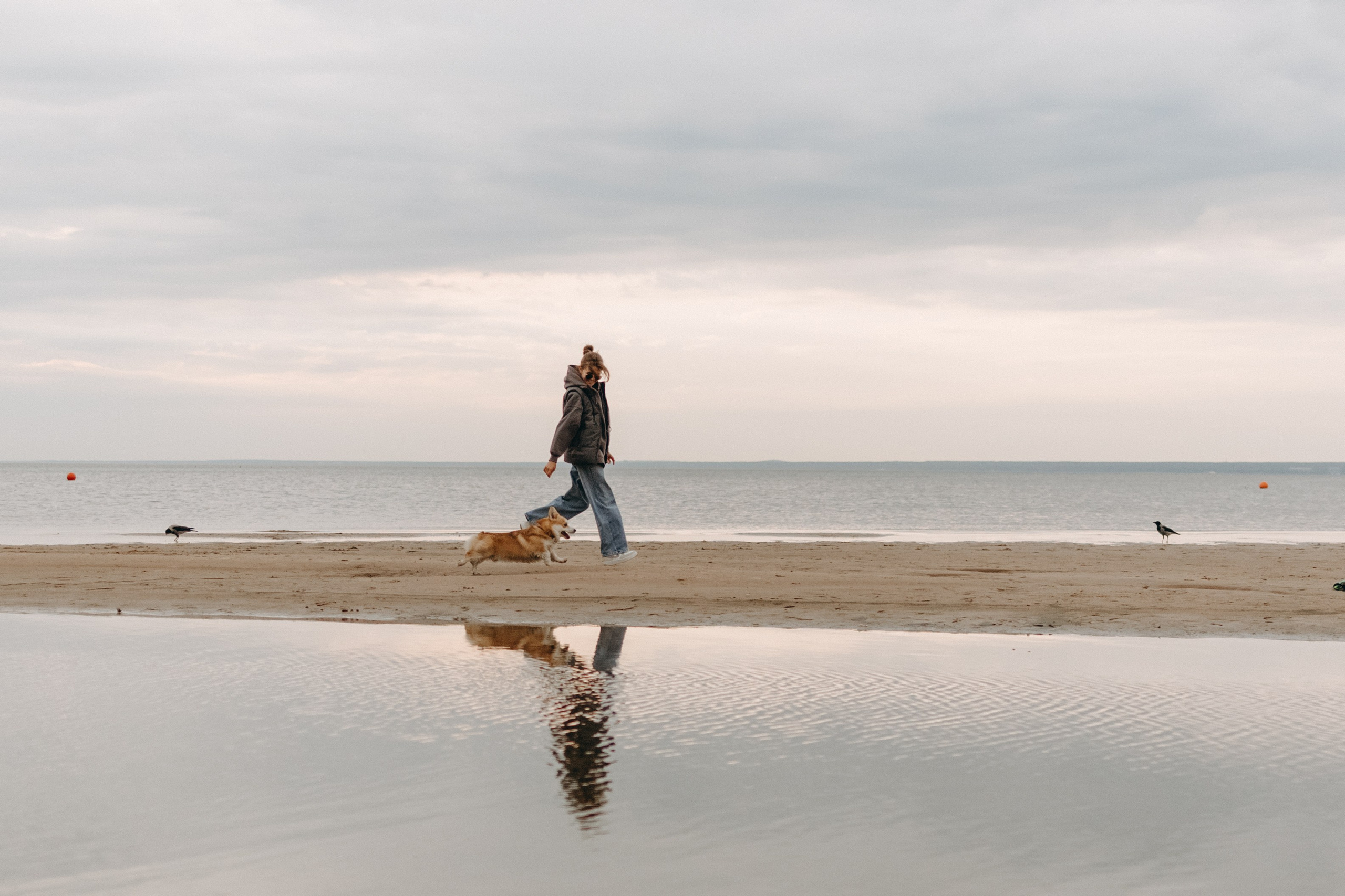 Лиза и Бакс. Фотограф — Анималист | Санкт-Петербург