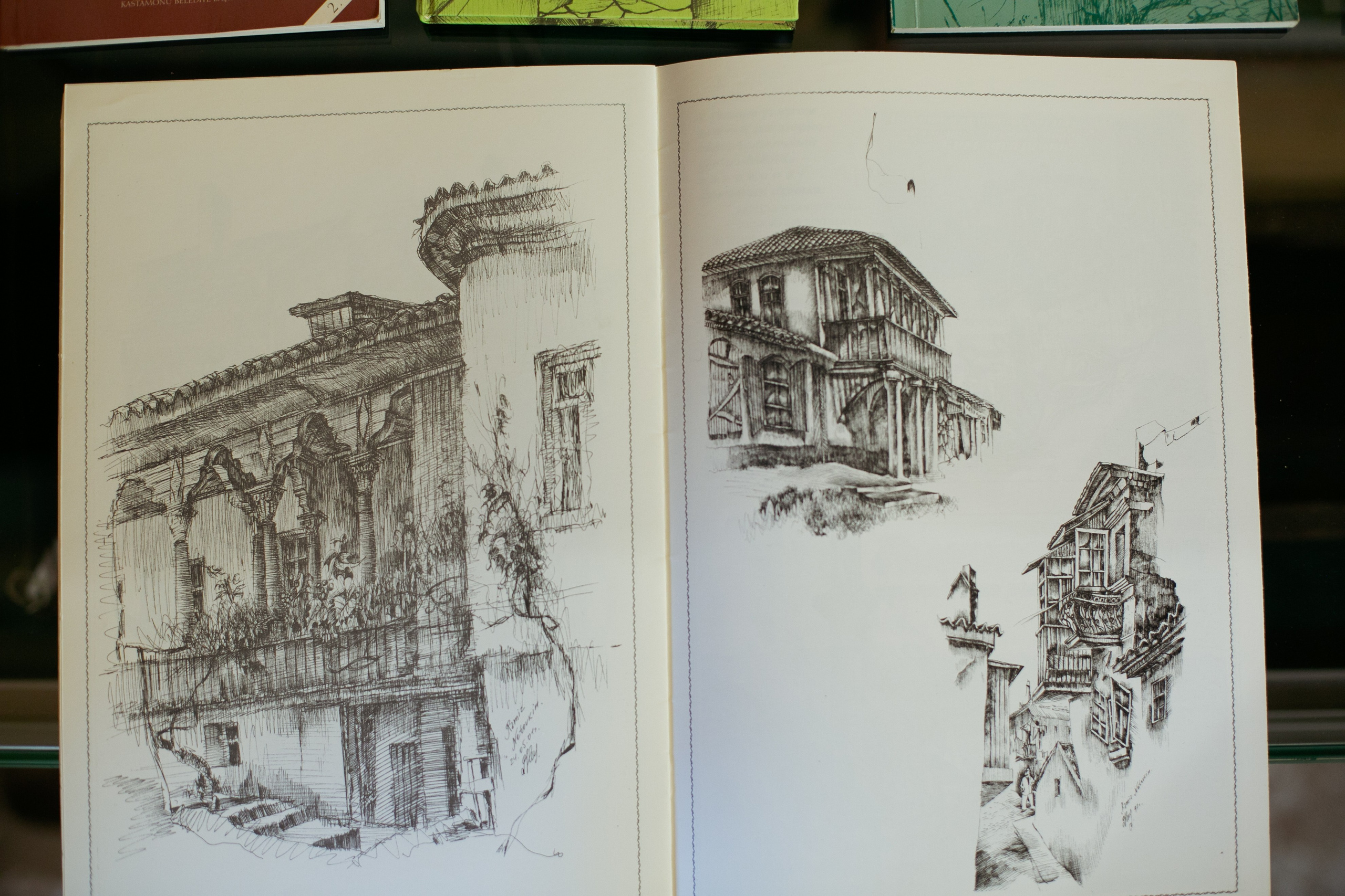 Ramiz Netovkin. Beye Shevkiyeva Photography