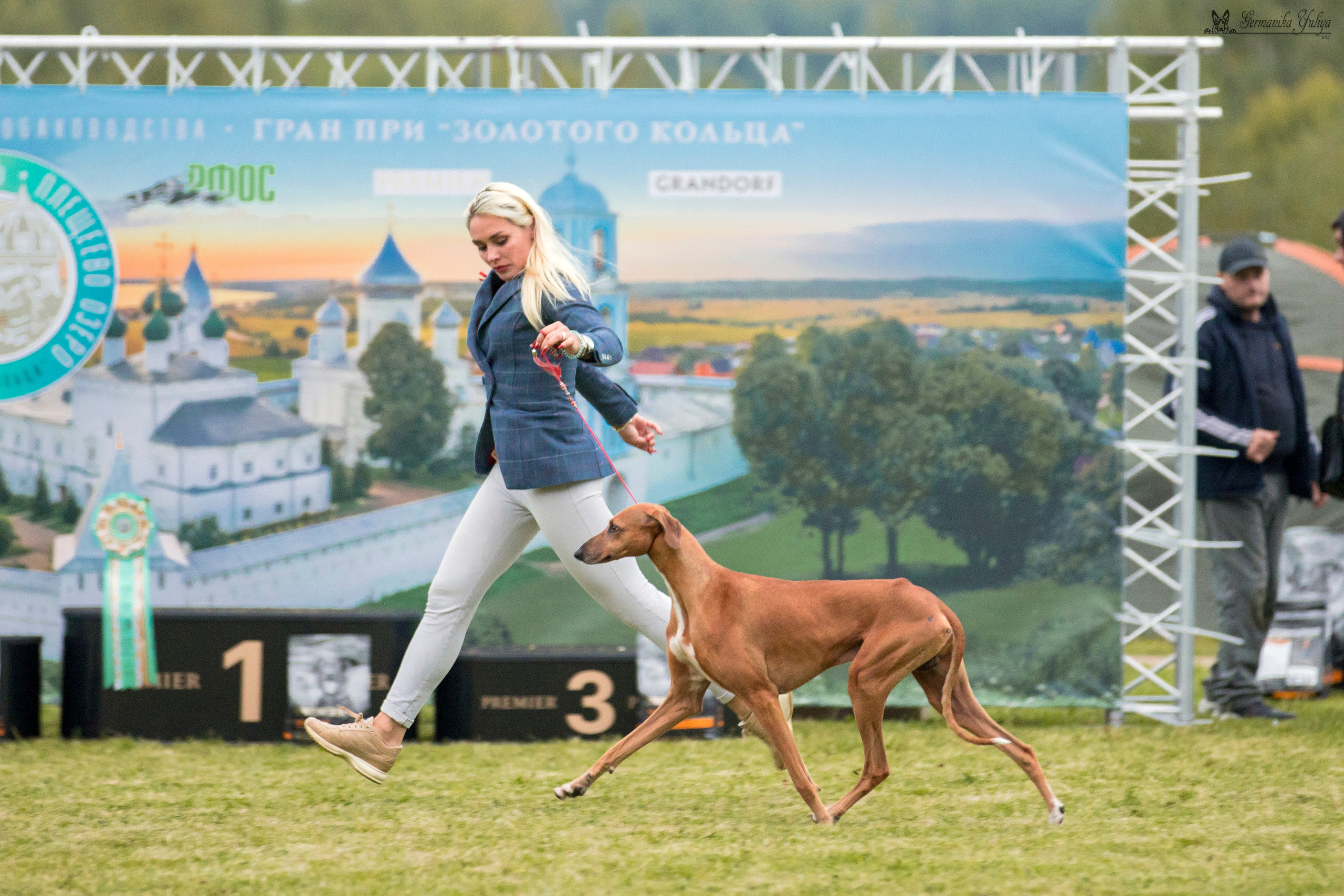 Переславль 9-10.09.2023. Фотограф-анималист Юлия Германика