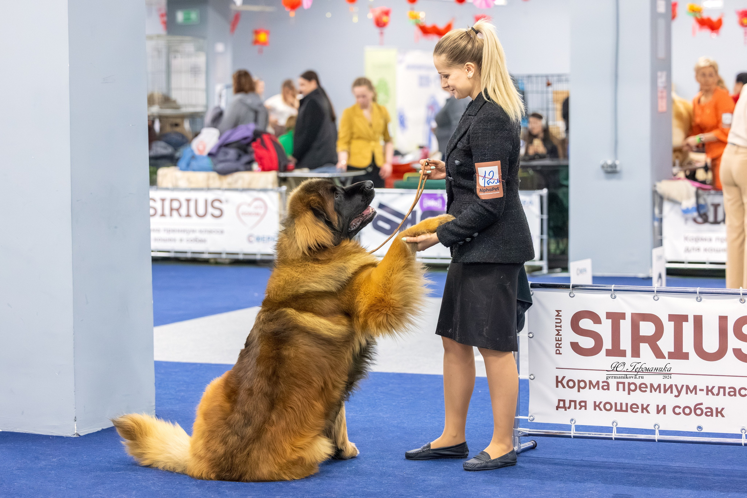 Сфера 17.03.2024. Фотограф-анималист Юлия Германика
