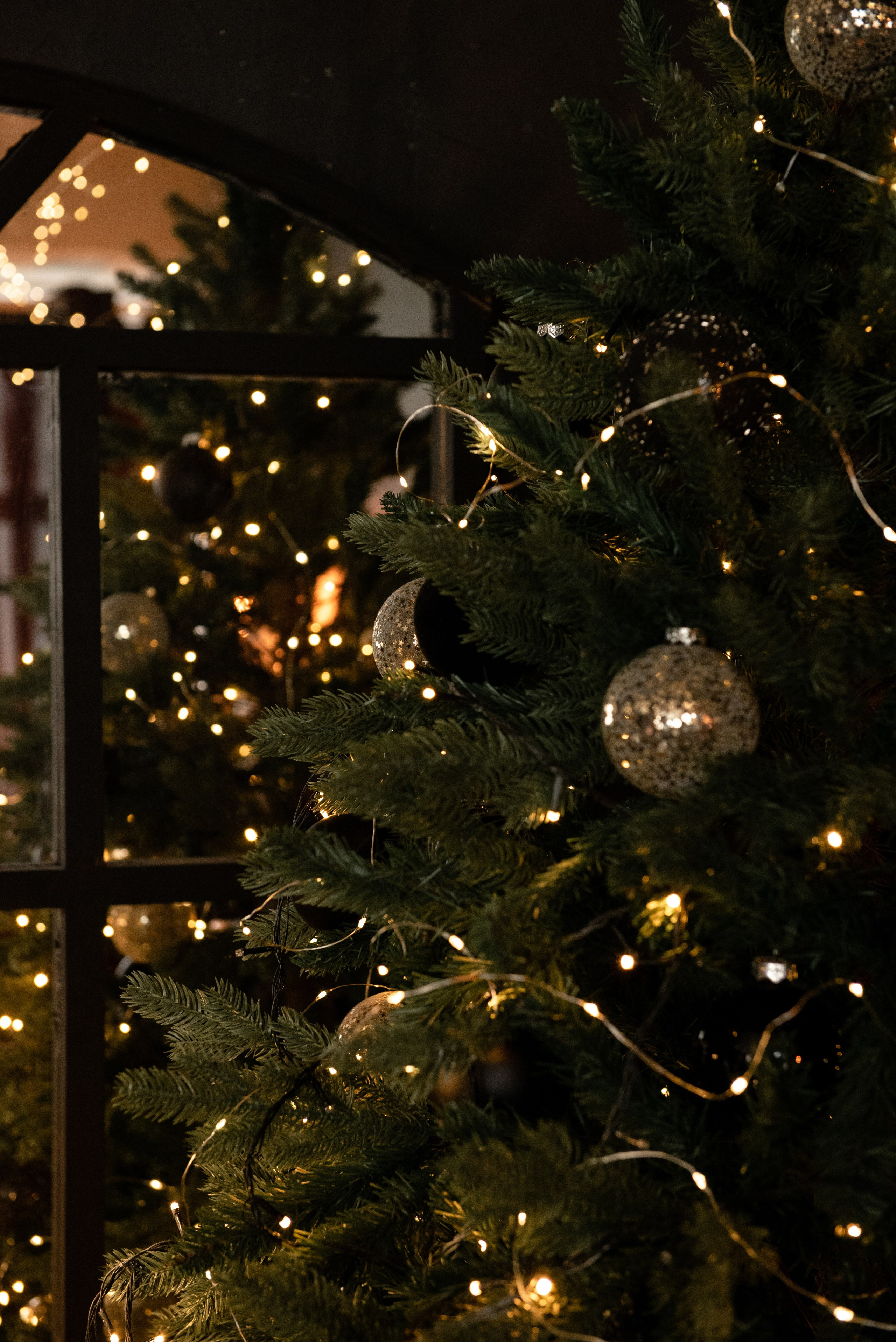 Новогодние. Свадебный и семейный Фотограф в Твери Сергей Скорода