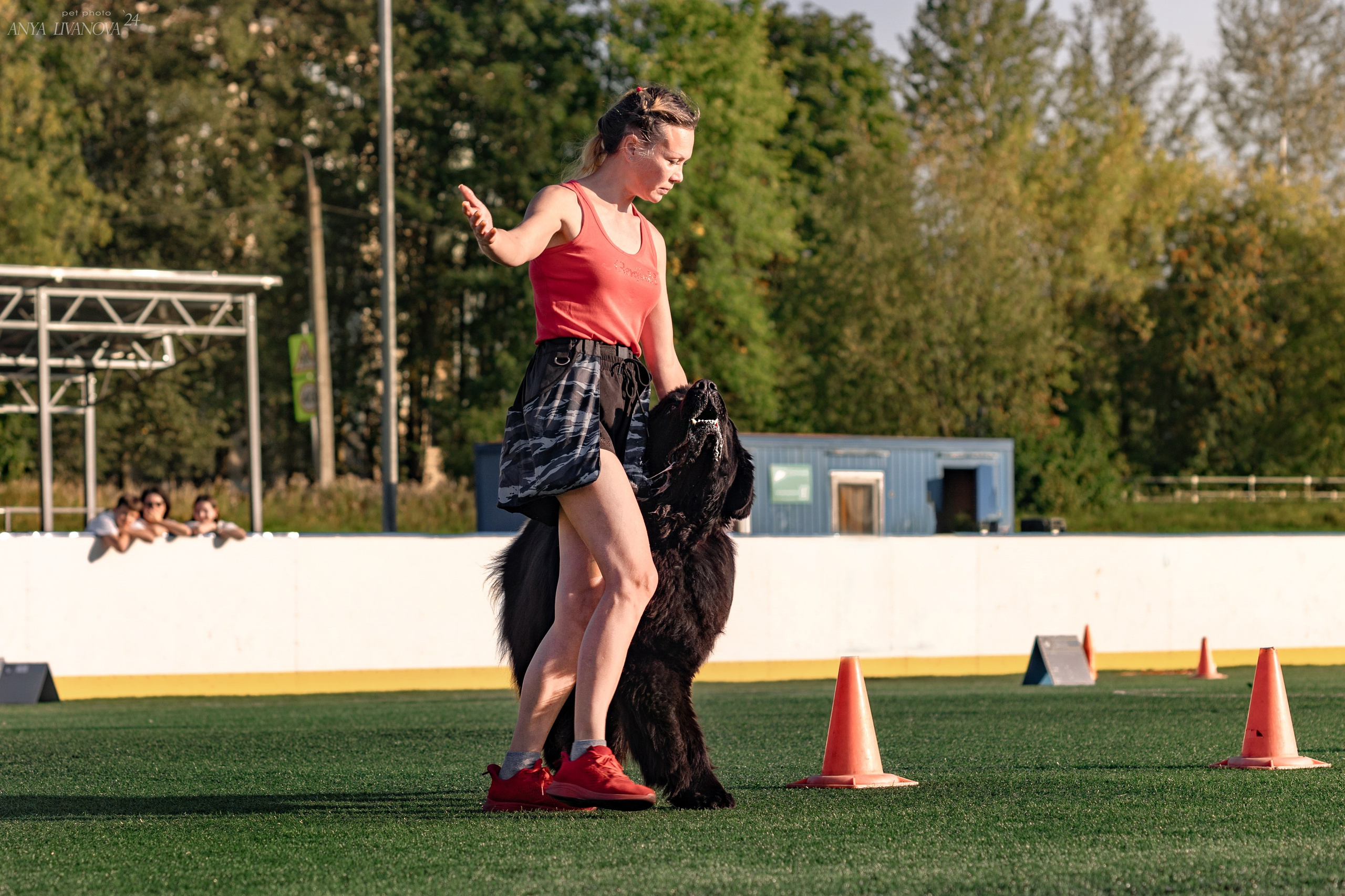 Ралли обидиенс. Фотограф анималист Аня Ливанова | Рыбинск