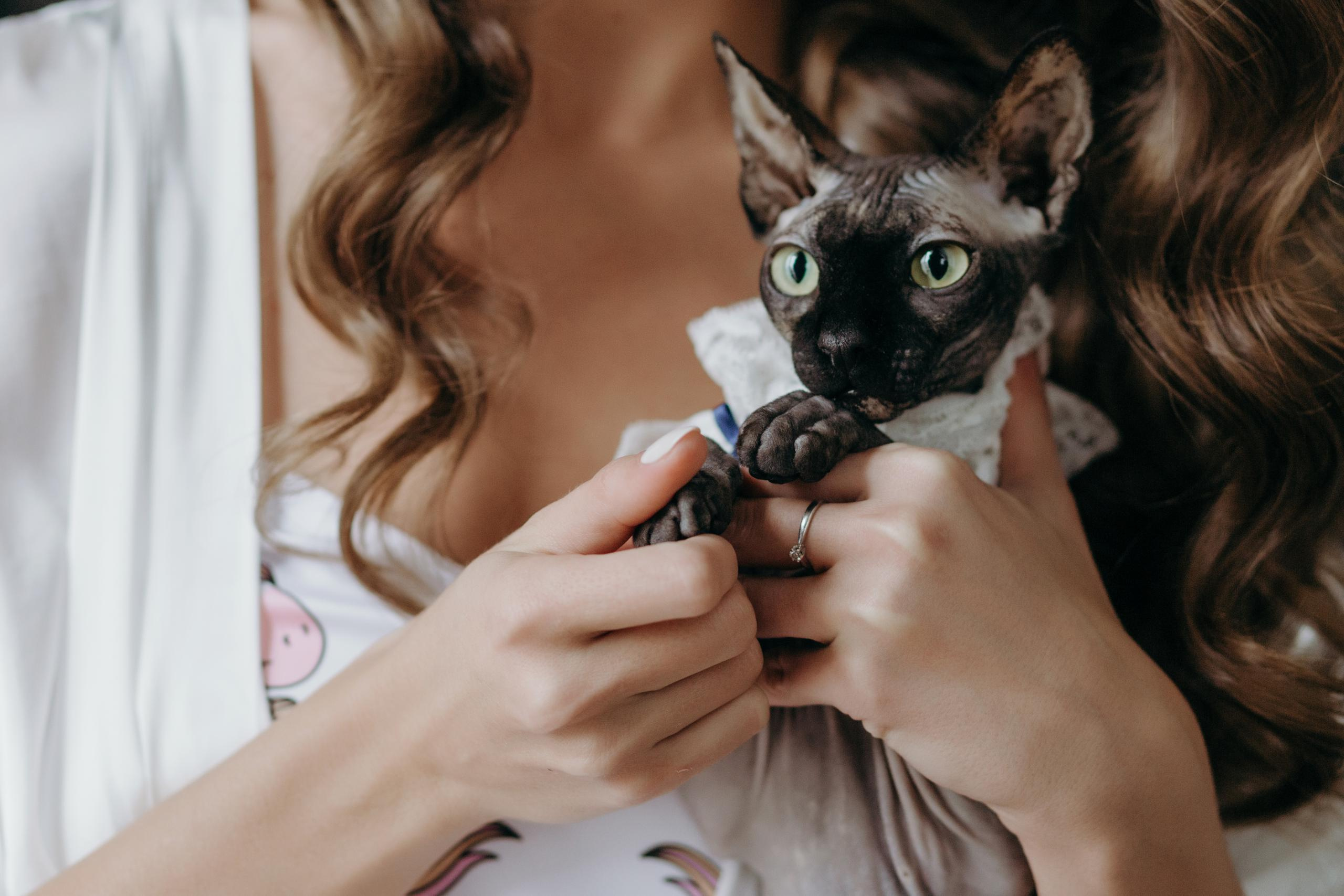 Дмитрий и Екатерина. Репортажный и свадебный фотограф в Москве Лена Таращенко