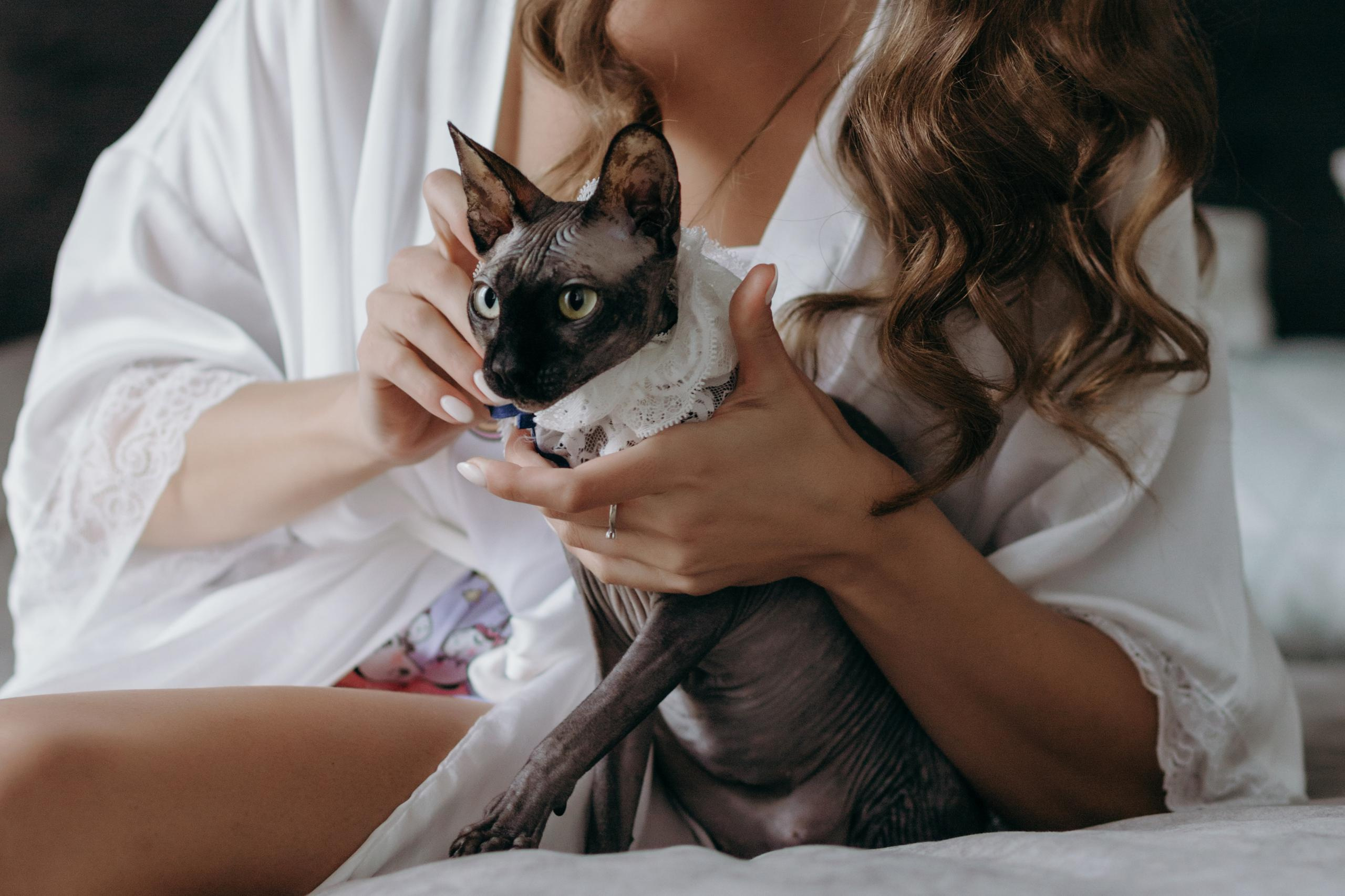 Дмитрий и Екатерина. Репортажный и свадебный фотограф в Москве Лена Таращенко