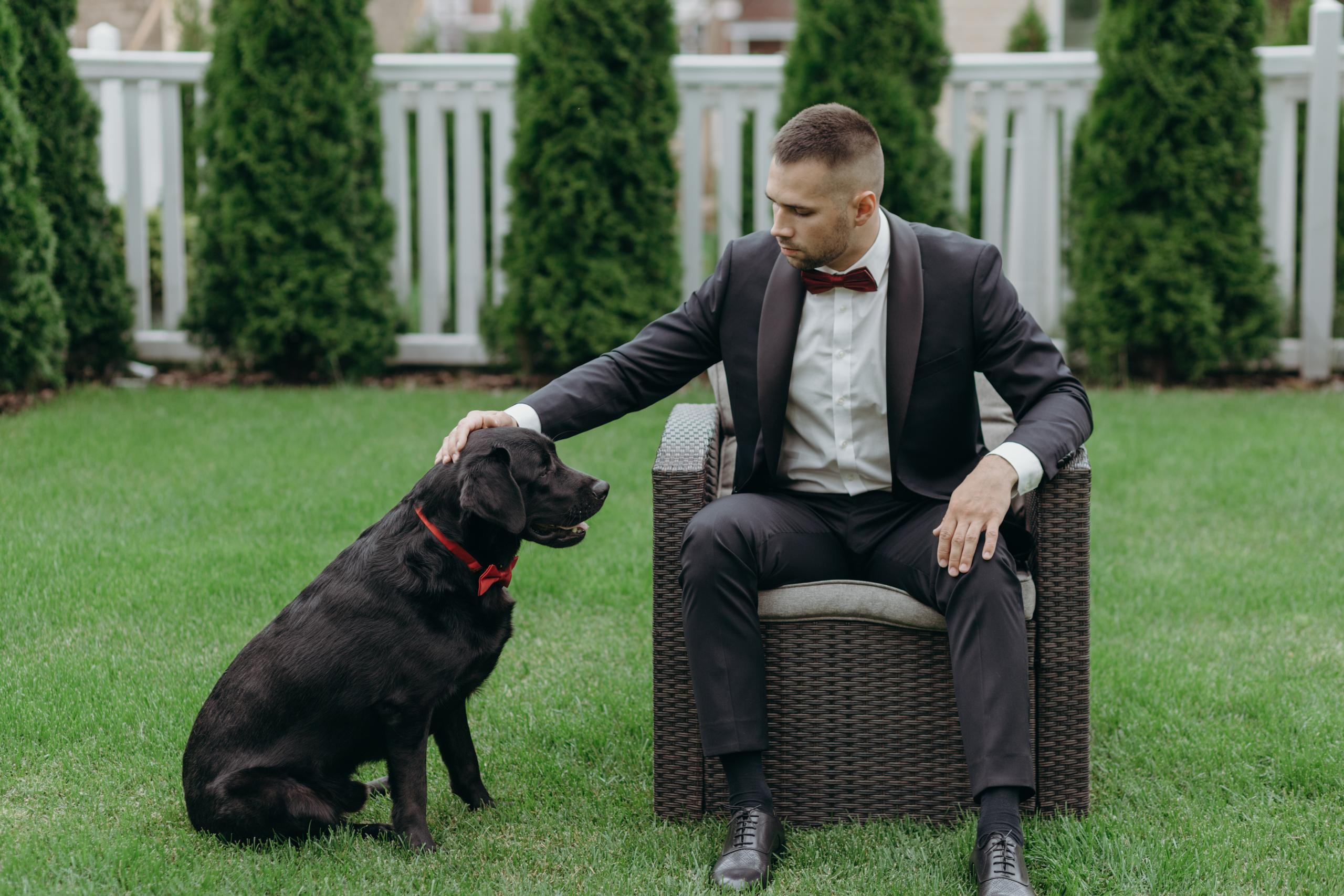 Дмитрий и Екатерина. Репортажный и свадебный фотограф в Москве Лена Таращенко