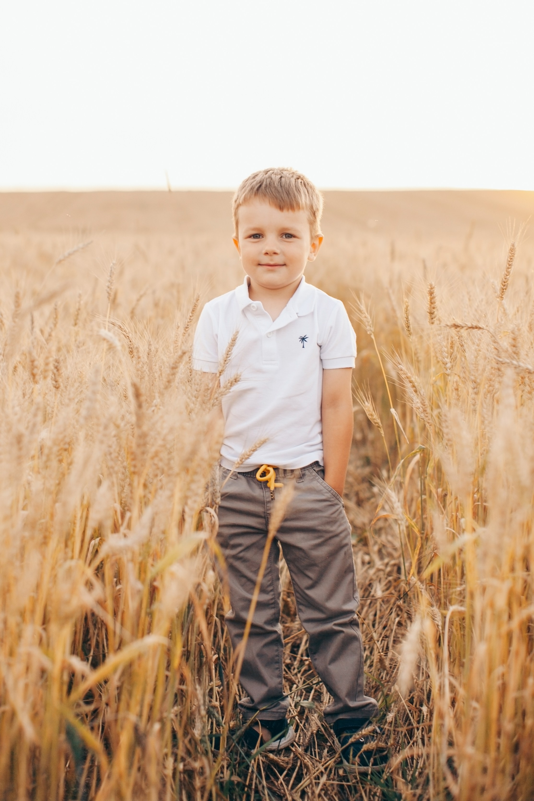 Семейная фотосессия в поле на закате. Фотограф Ольга Ефремова