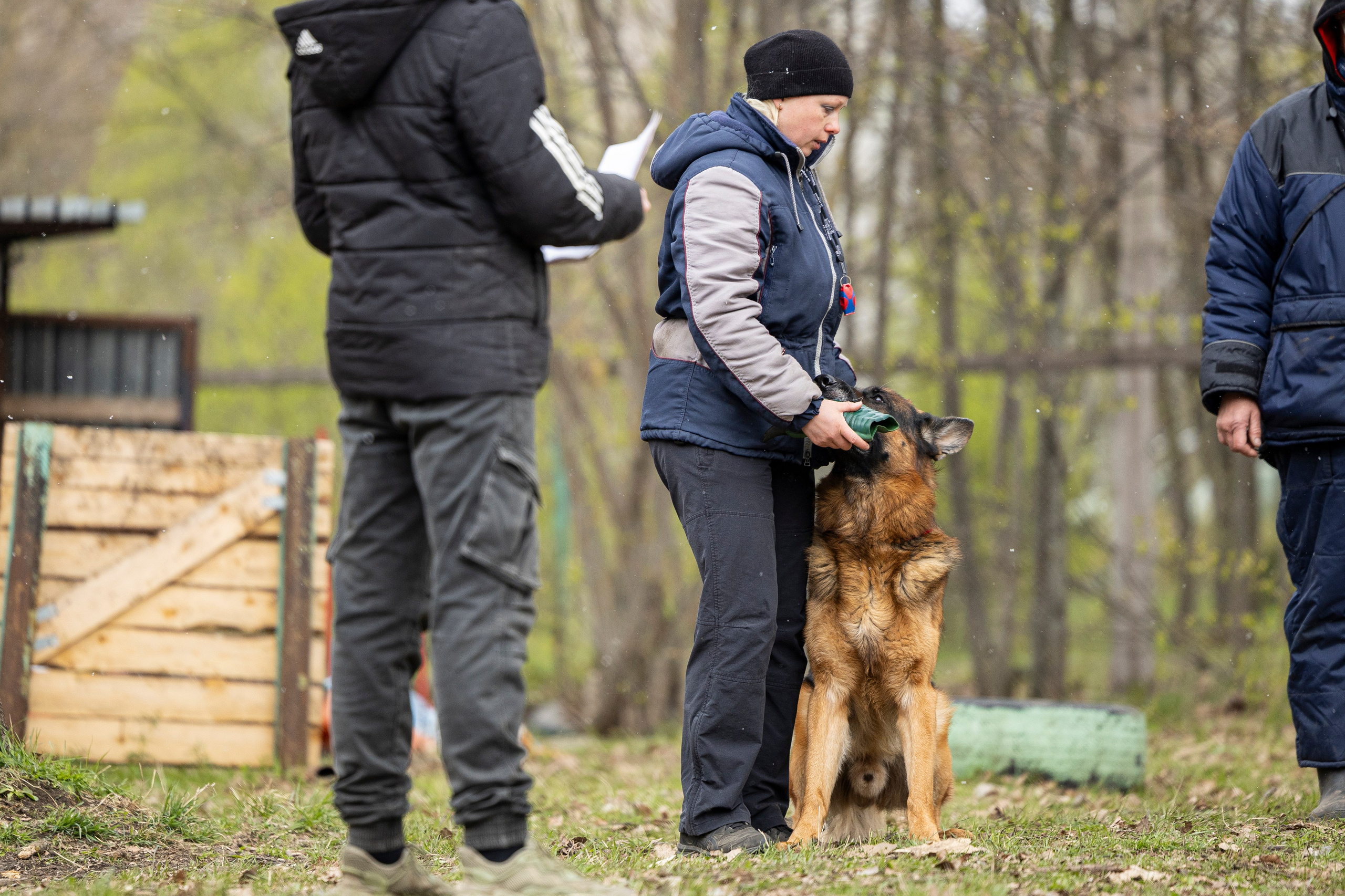 Квалификационные состязания по мондьорингу г. Вологда 11.05.24. Фотограф-анималист Анна Маринич