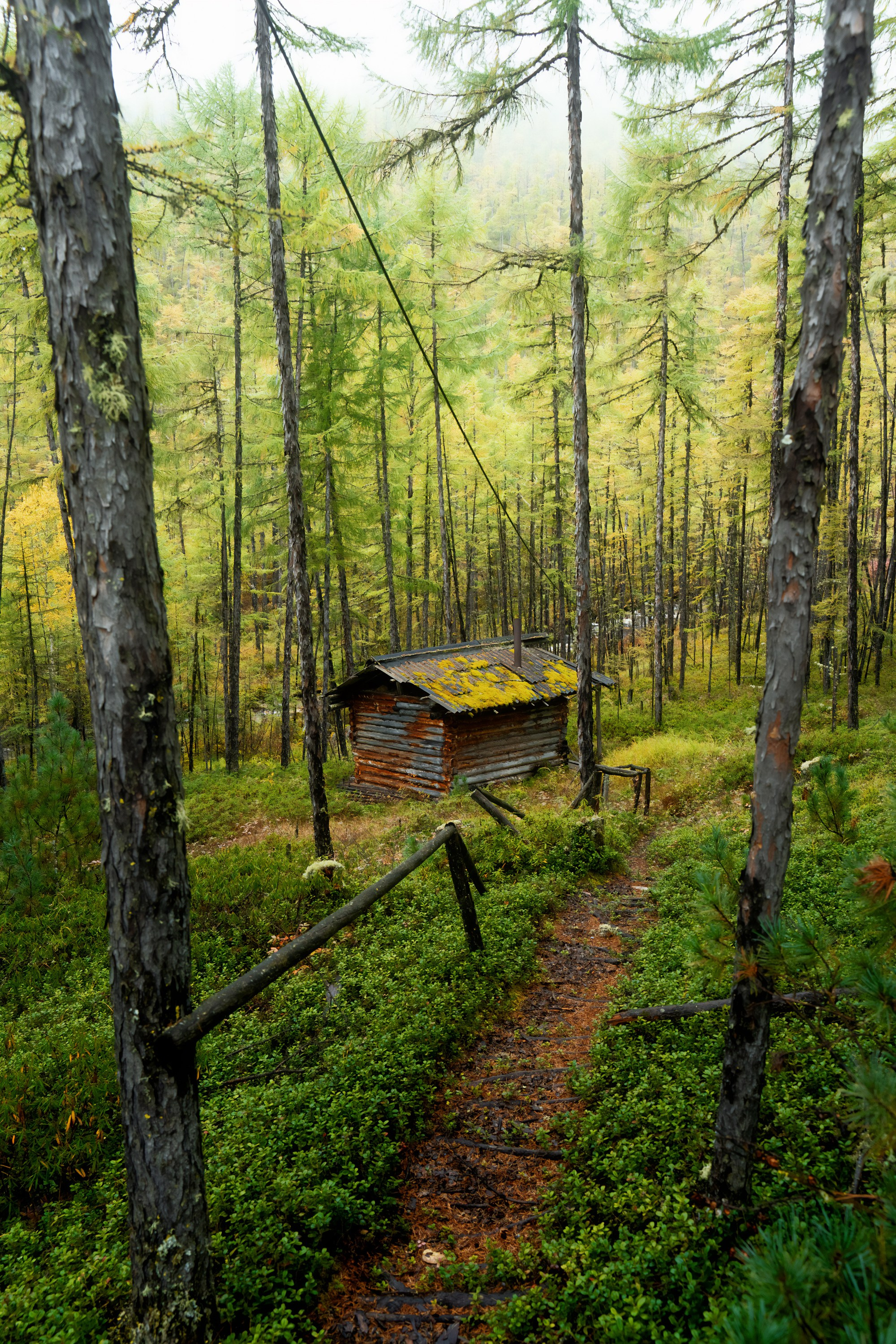 Буреинский заповедник. Фотограф в Хабаровске. Фотография за 24 часа
