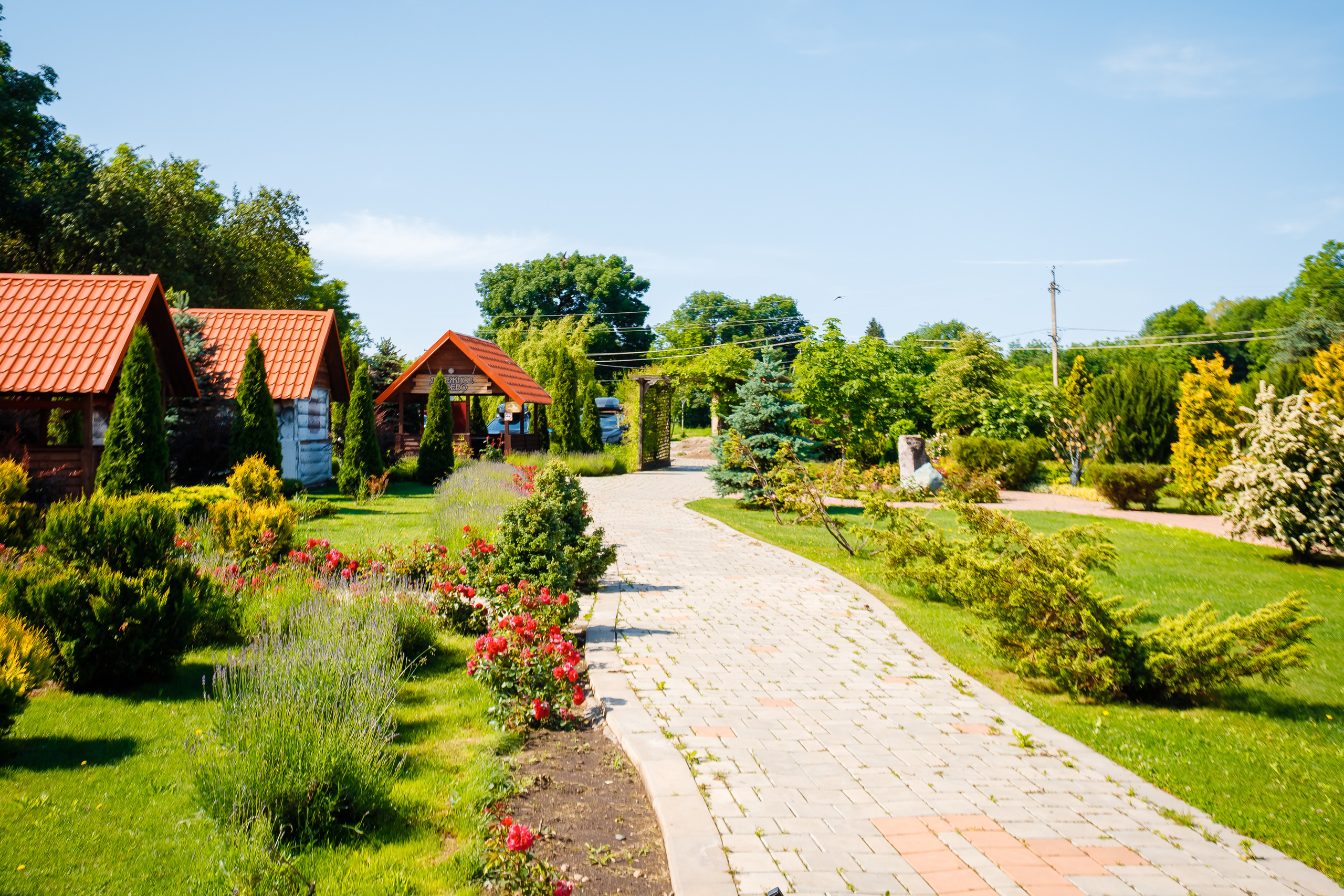 Территория термы май 2023 года