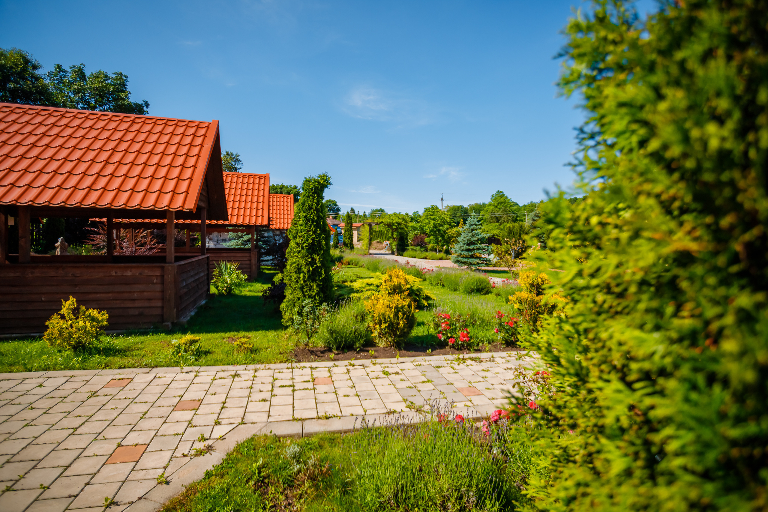 Территория термы май 2023 года