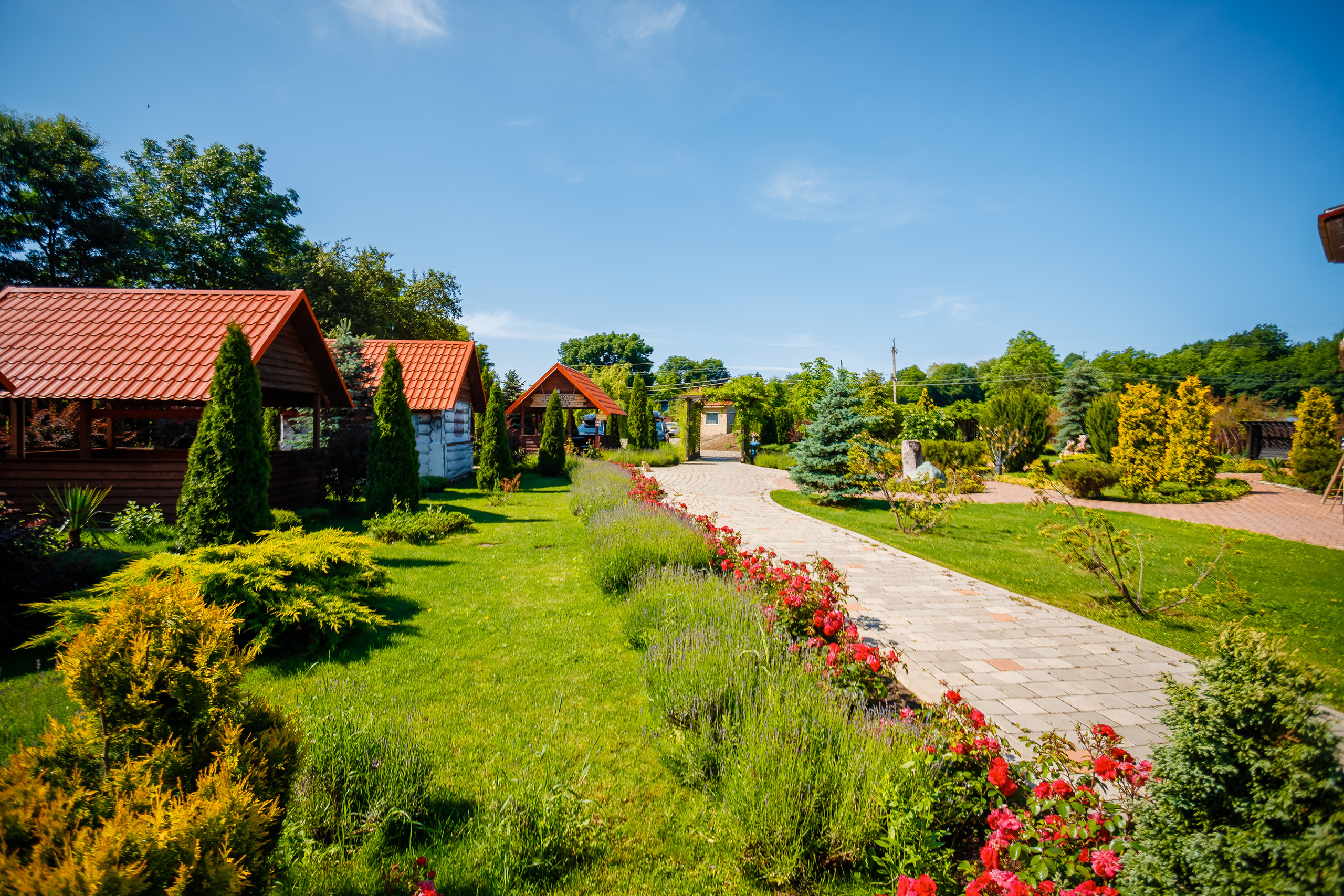 Территория термы май 2023 года