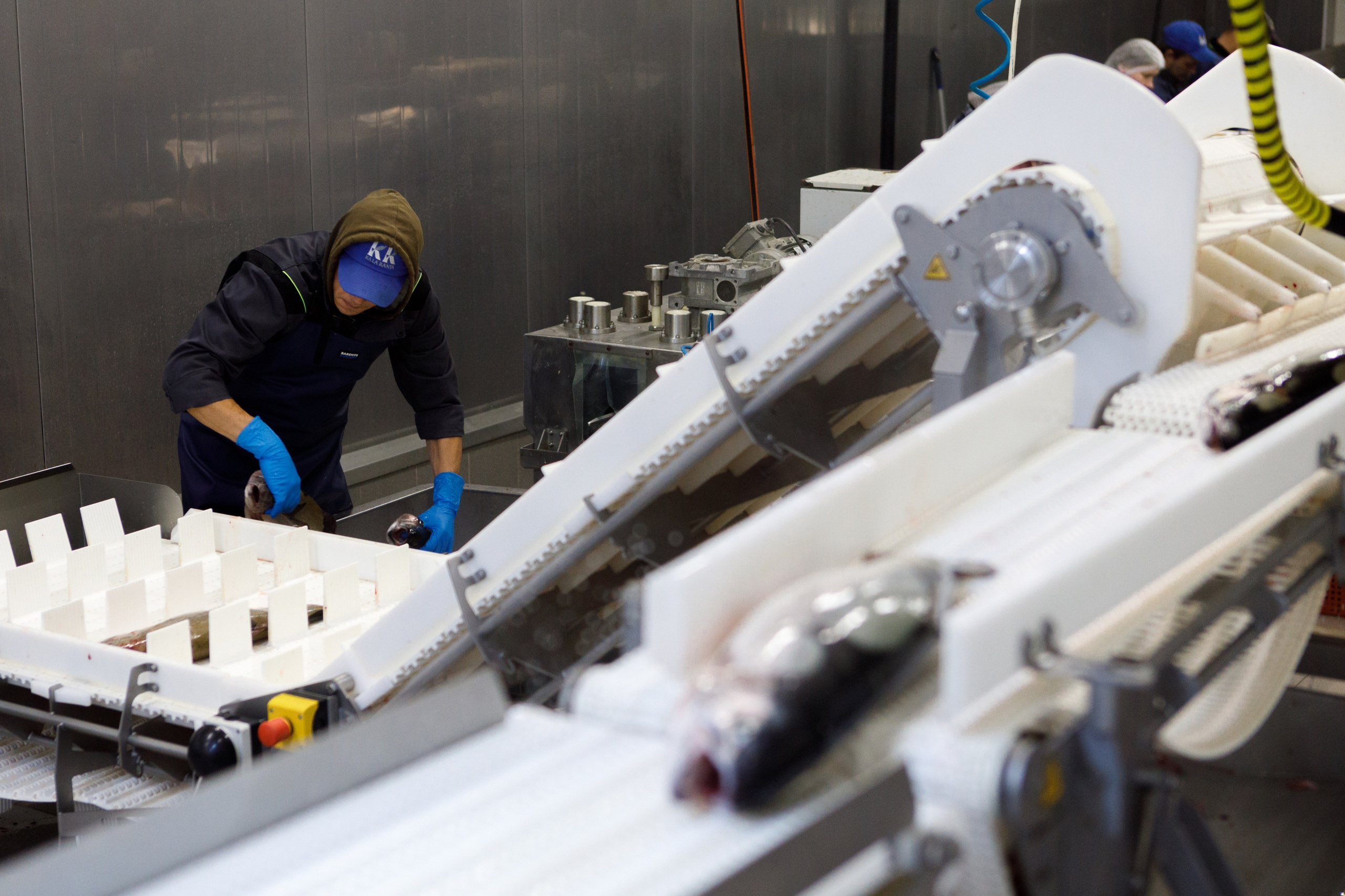 Kala-Ranta Trout Farm. Commercial photographer | Anton Ermakov