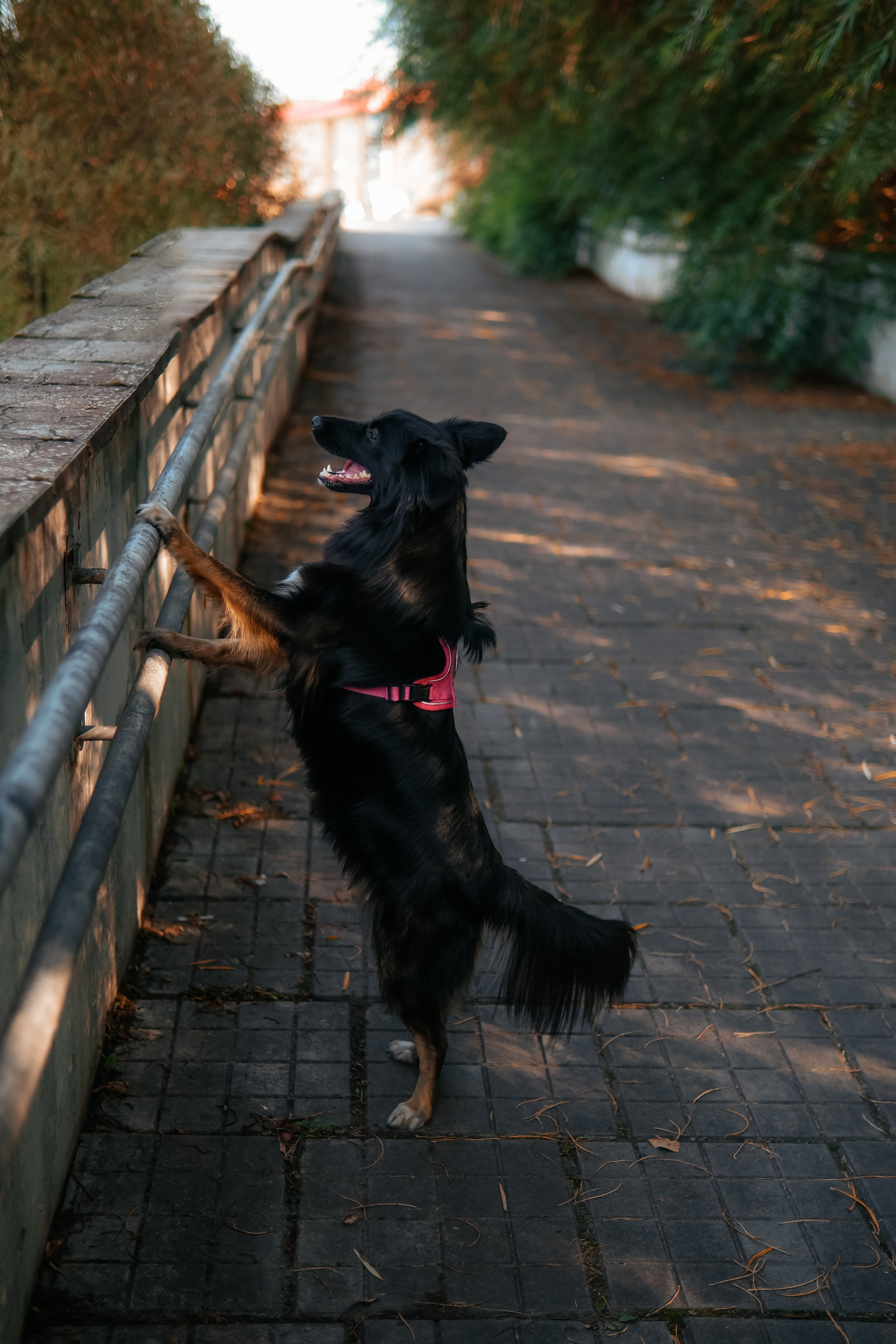 Наташа и Юня. Лена Фокина | Фотограф Смоленск