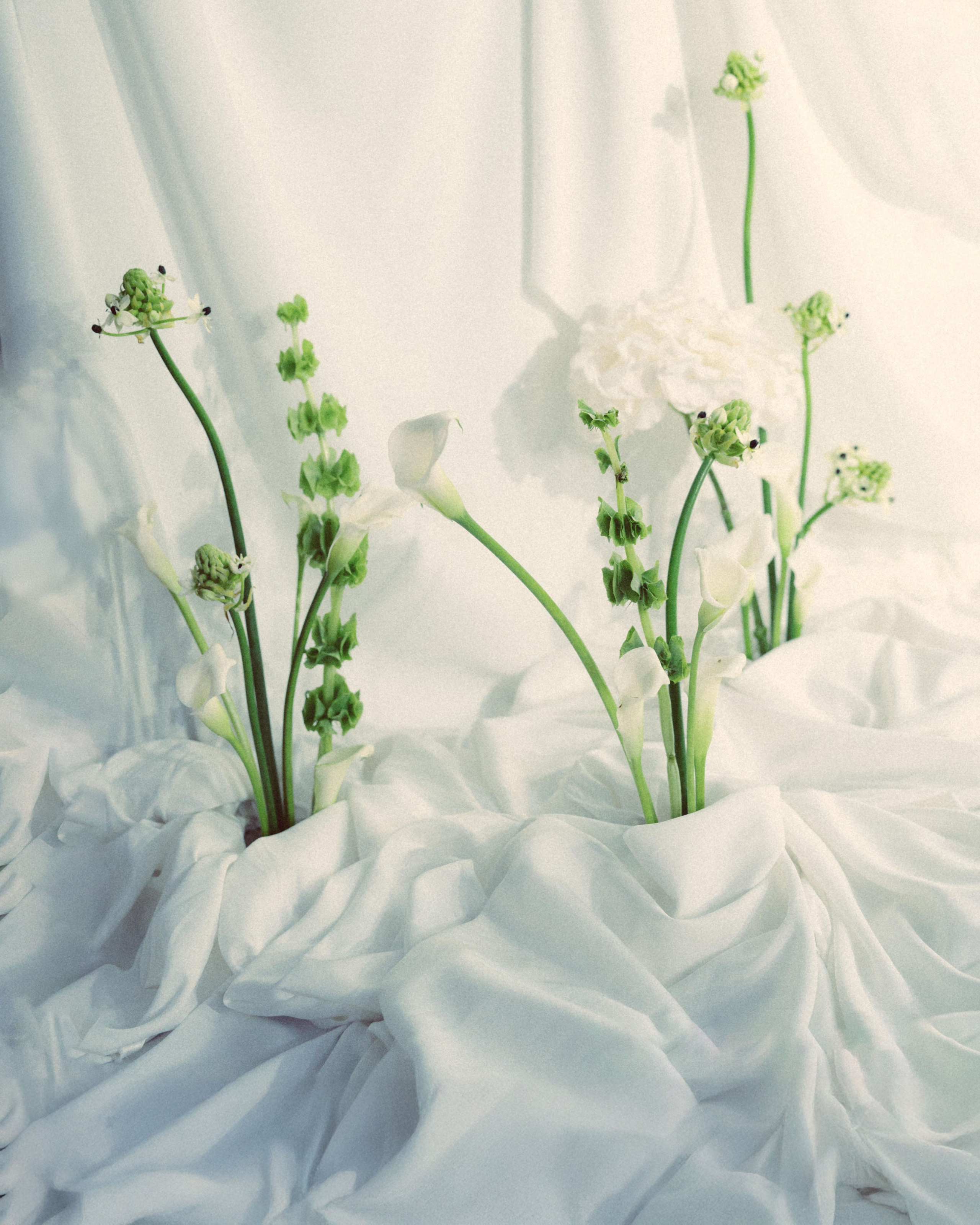 ♥️♠️. Вадим Зименков