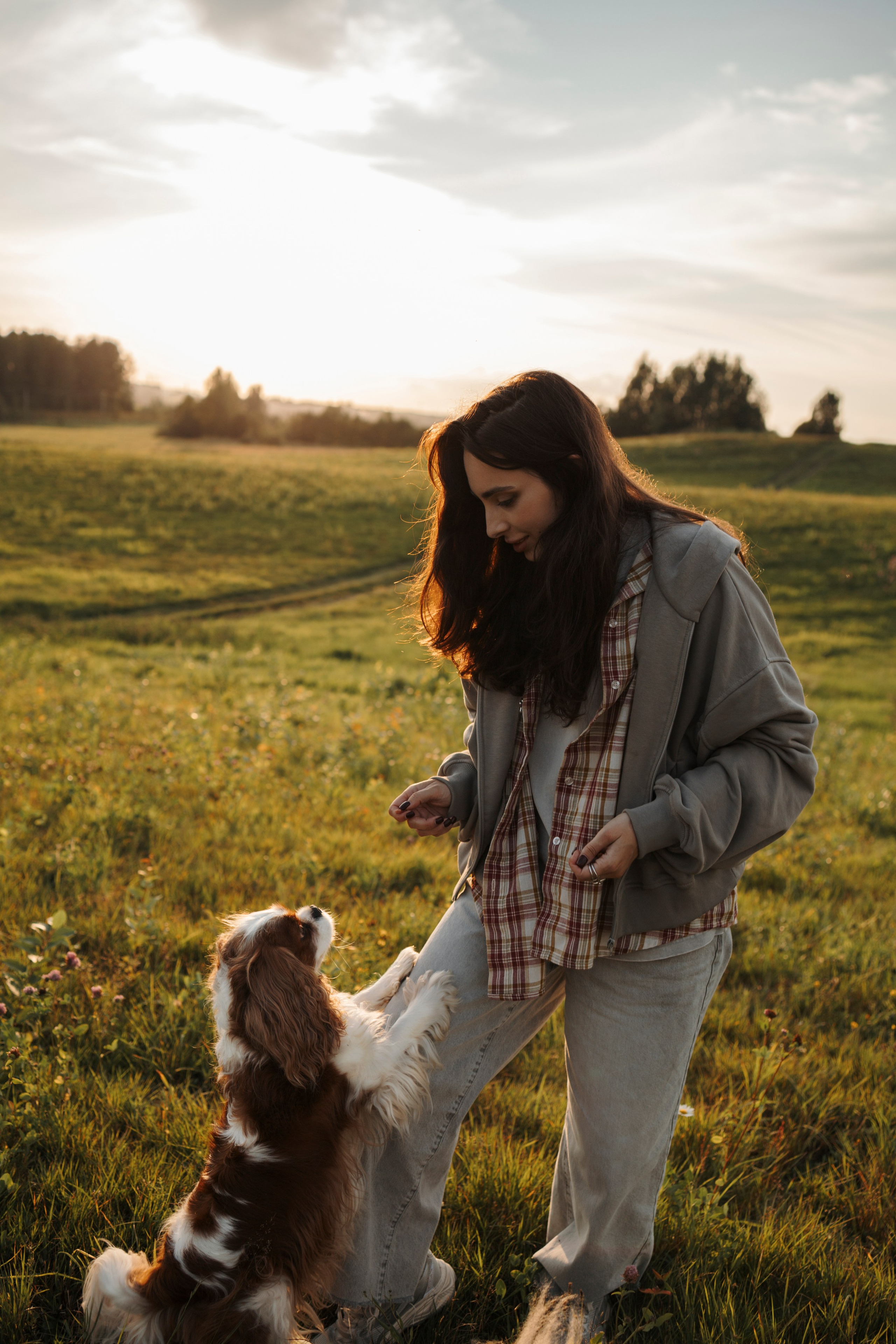 На закате Катерина, Луна и Рикки. Фотограф-анималист в Санкт-Петеребурге Титова Алиса