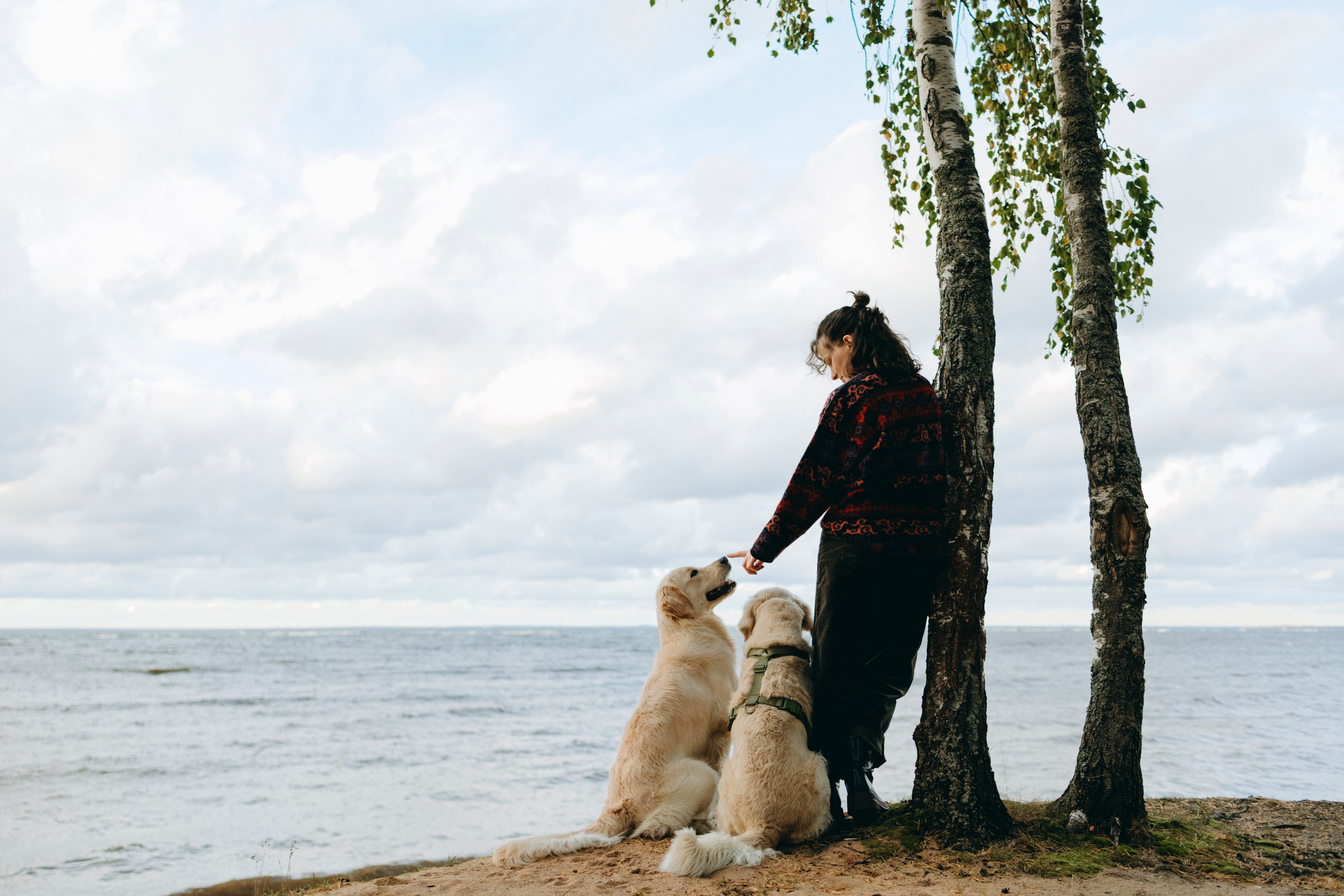 Прогулка Насти с Арчи и Арагоном. Фотограф-анималист в Санкт-Петеребурге Титова Алиса