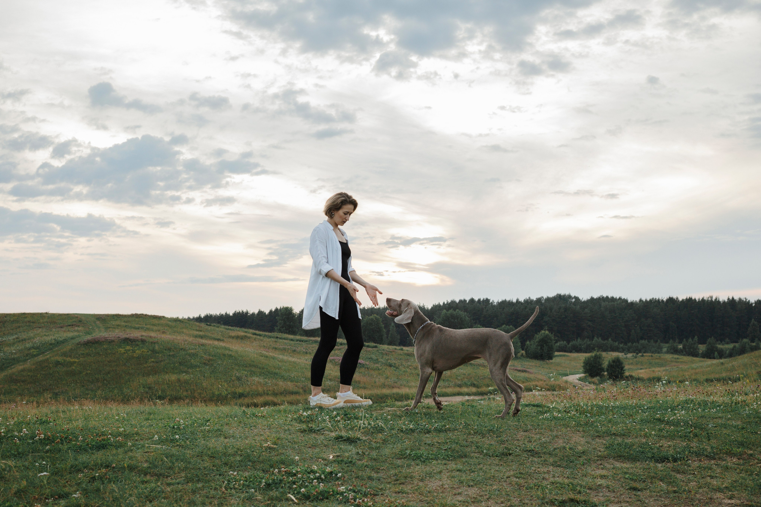 Маргарита и веймаранеры. Фотограф-анималист в Санкт-Петеребурге Титова Алиса