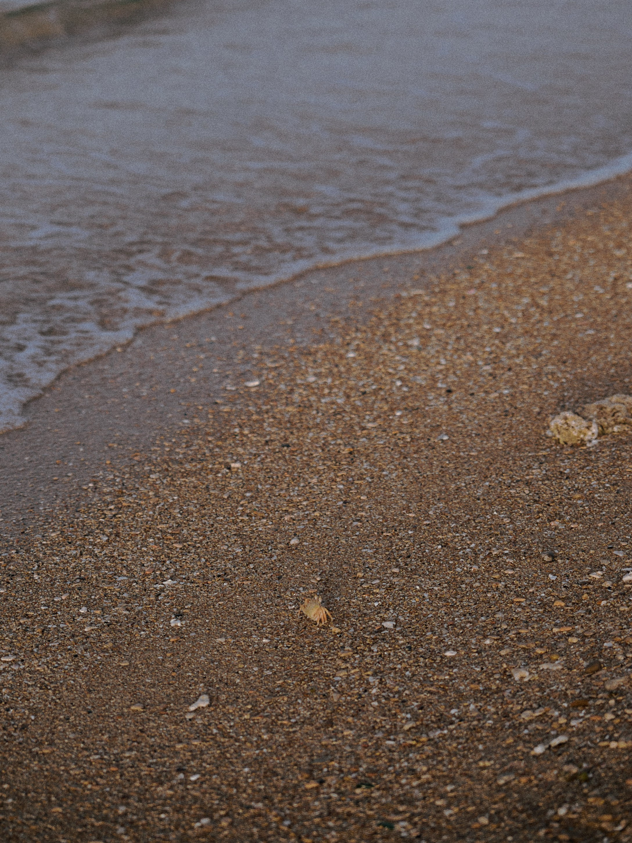 Природа. Jorgis Talè — photographer, kind person, teacher of arts and other mag