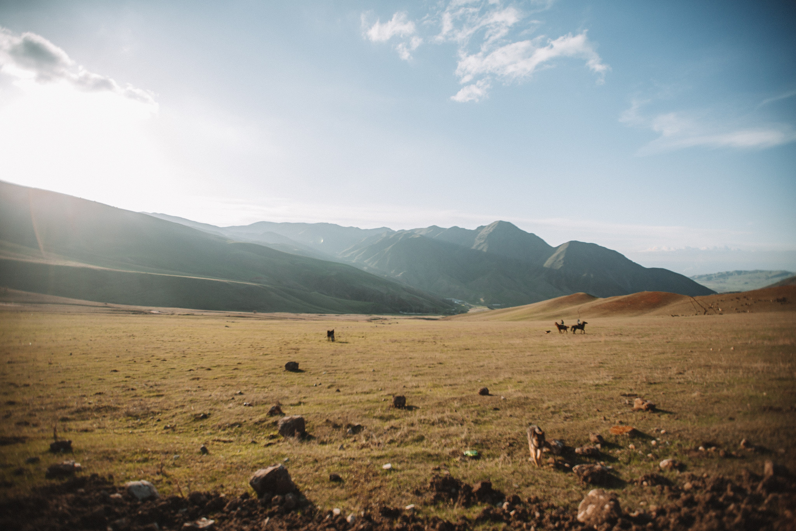 Лавстори в Краснодаре. Свадебный и семейный фотограф/видеограф в Краснодаре Наталья Осинская
