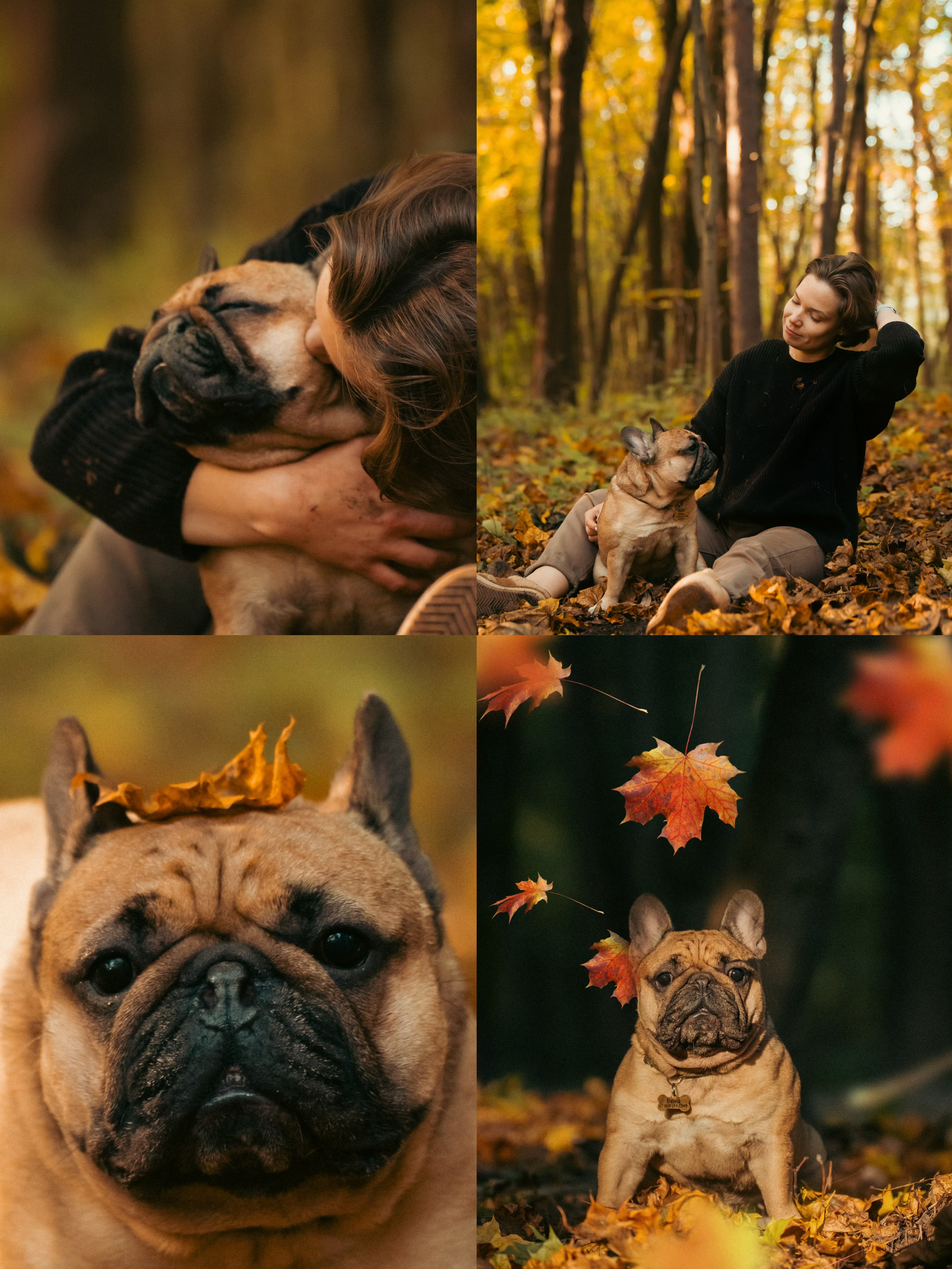 Анастасия и Бенц. Фотограф анималист в Москве и Санкт-Петербурге Свиридова Анна