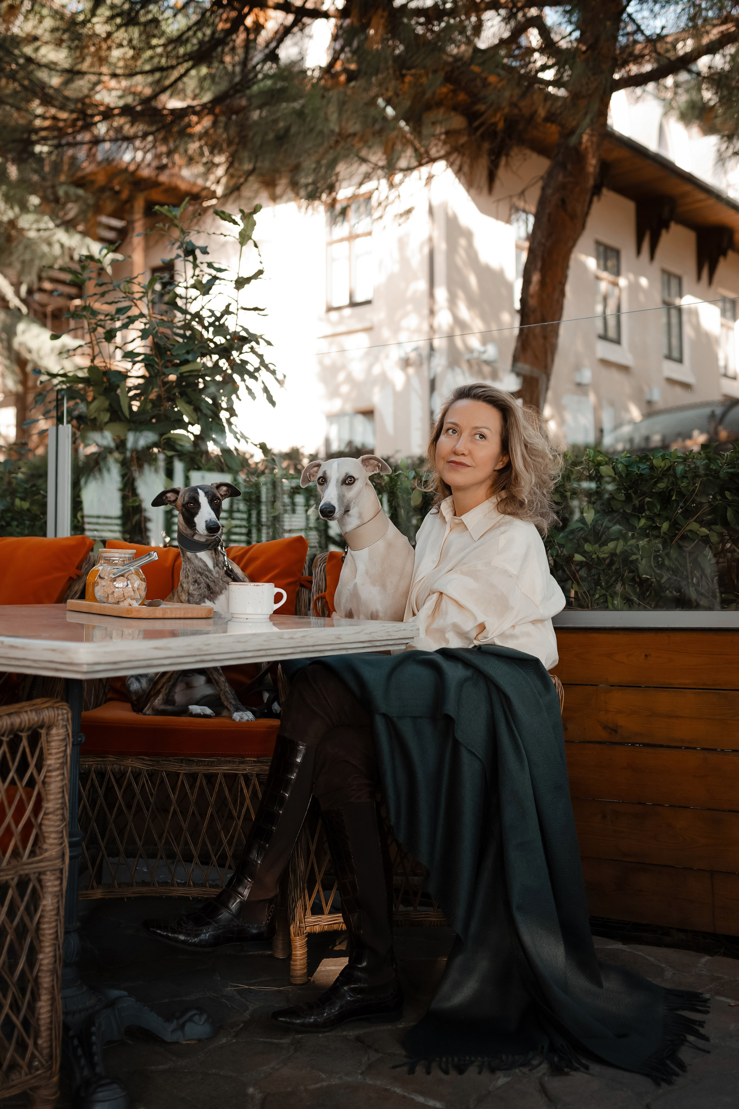 Уиппеты на прогулке в Ялте. Фотограф-анималист в Краснодаре Маша Мельникова