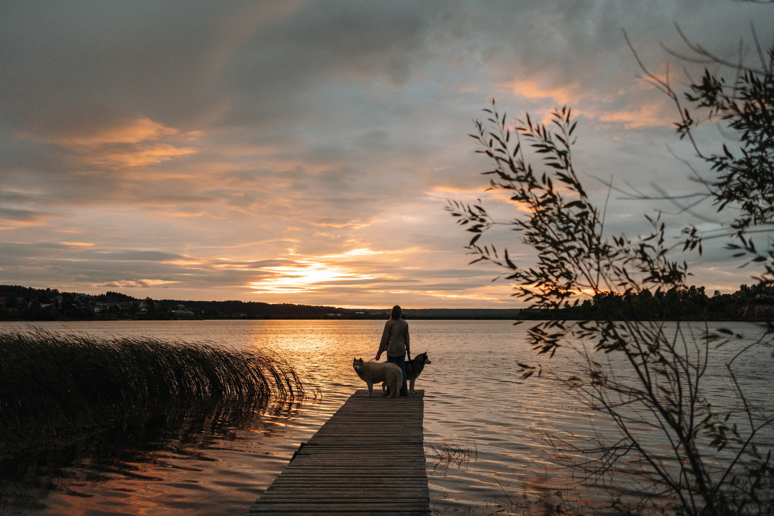 Дом у реки. Фотограф — Анималист | Санкт-Петербург