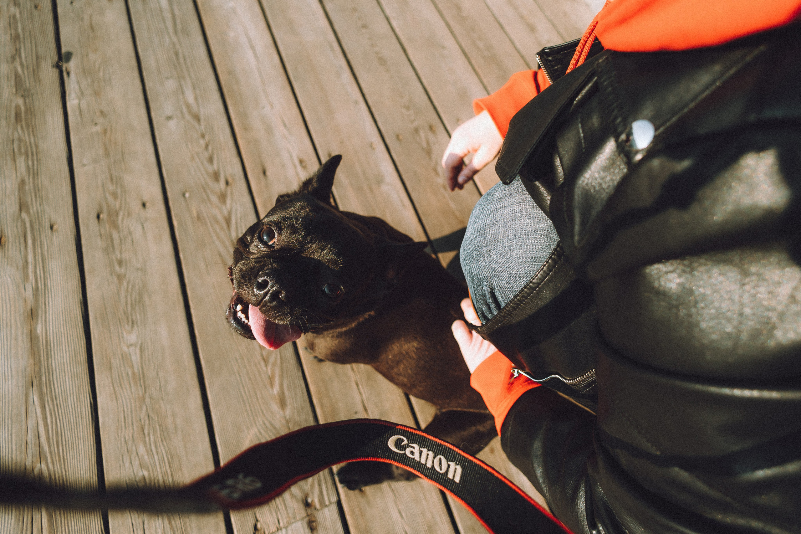 Саша, Дима и Шпуля