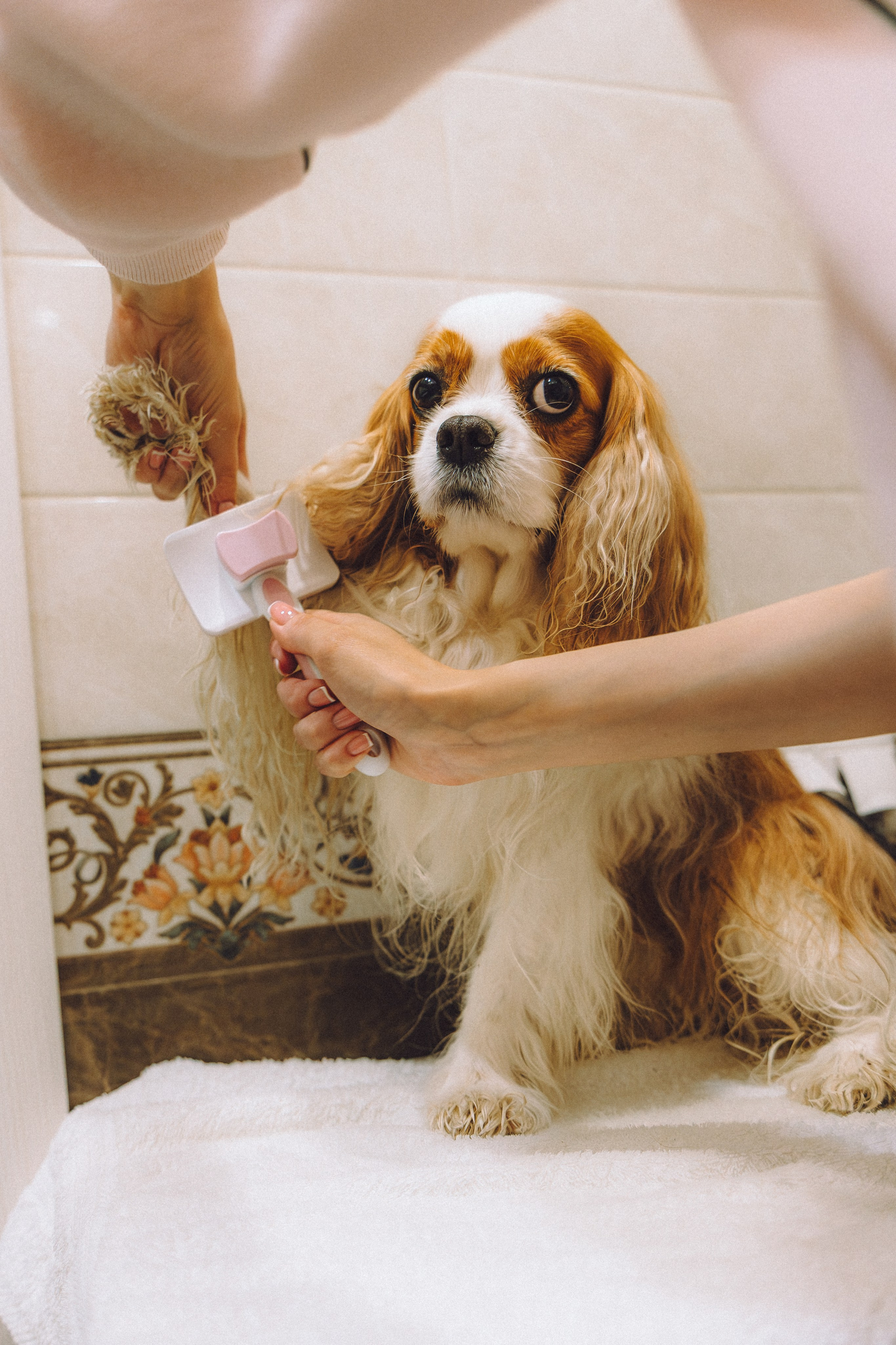 Наташа и Вики