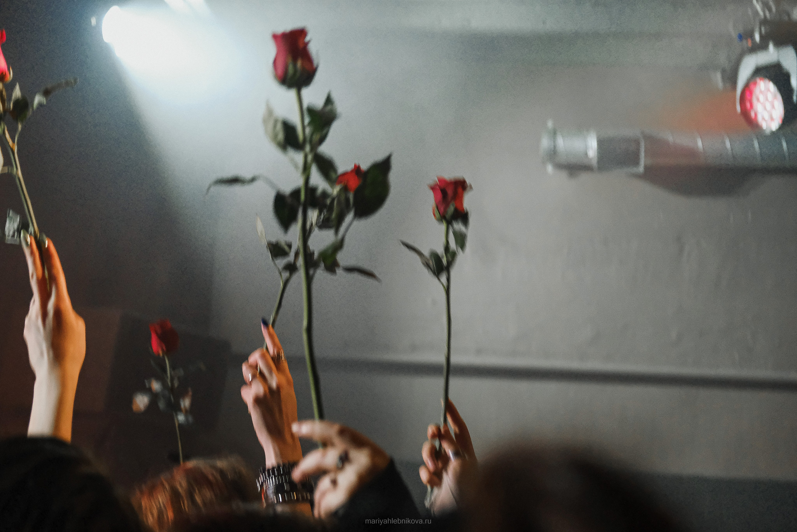 Otto Dix. Фотограф Мария Хлебникова Санкт-Петербург Москва