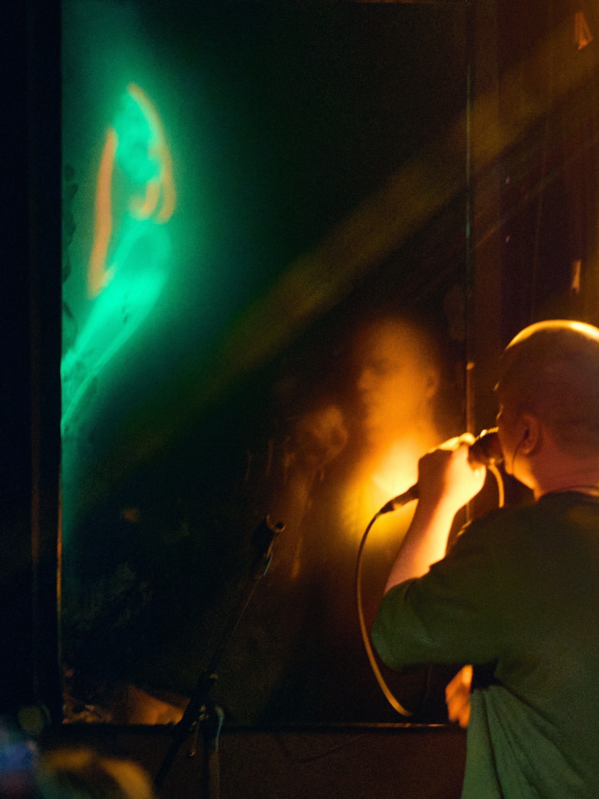 Порез на собаке. Фотограф Юлия Маринина