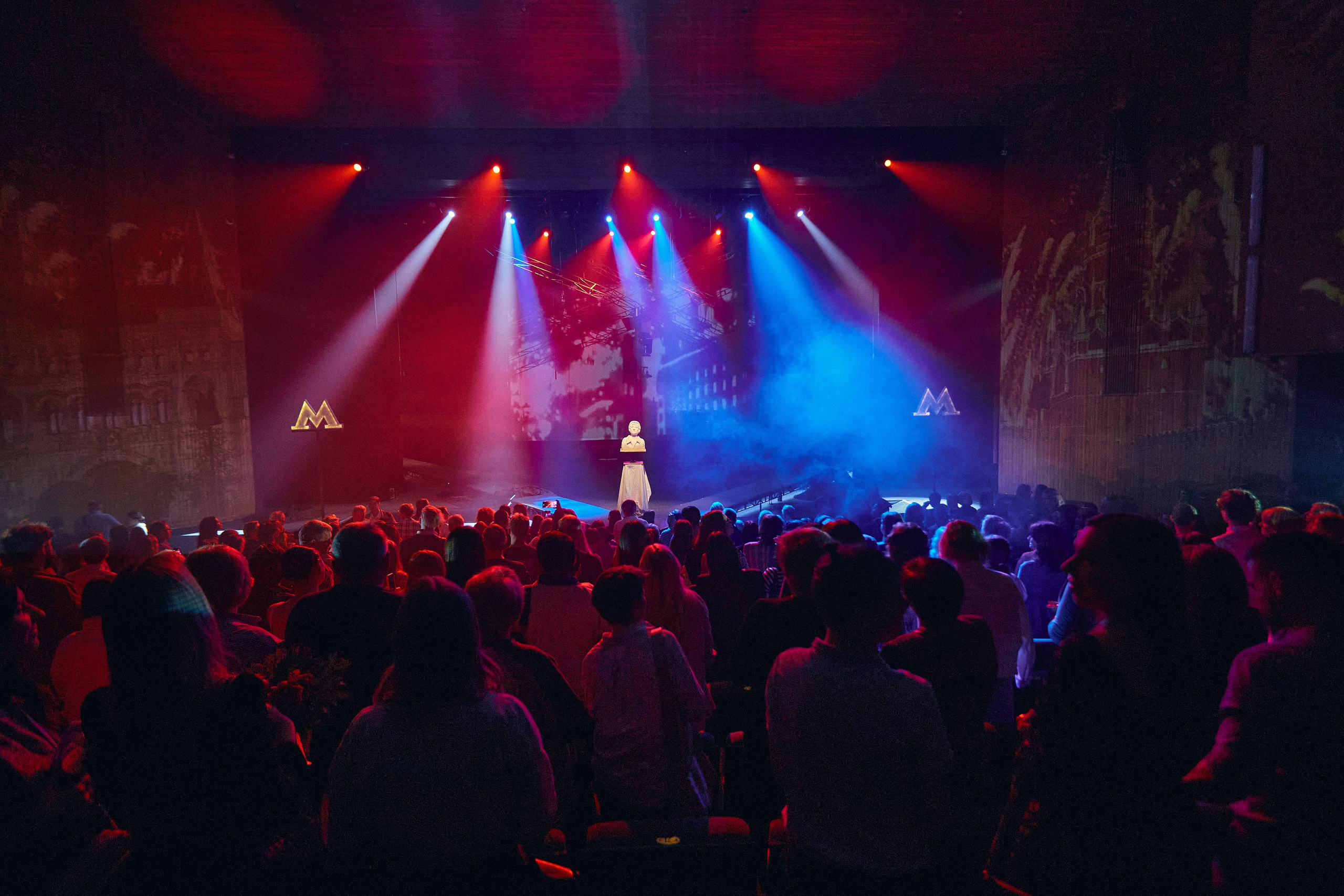 Летят журавли. Фотограф Юлия Маринина