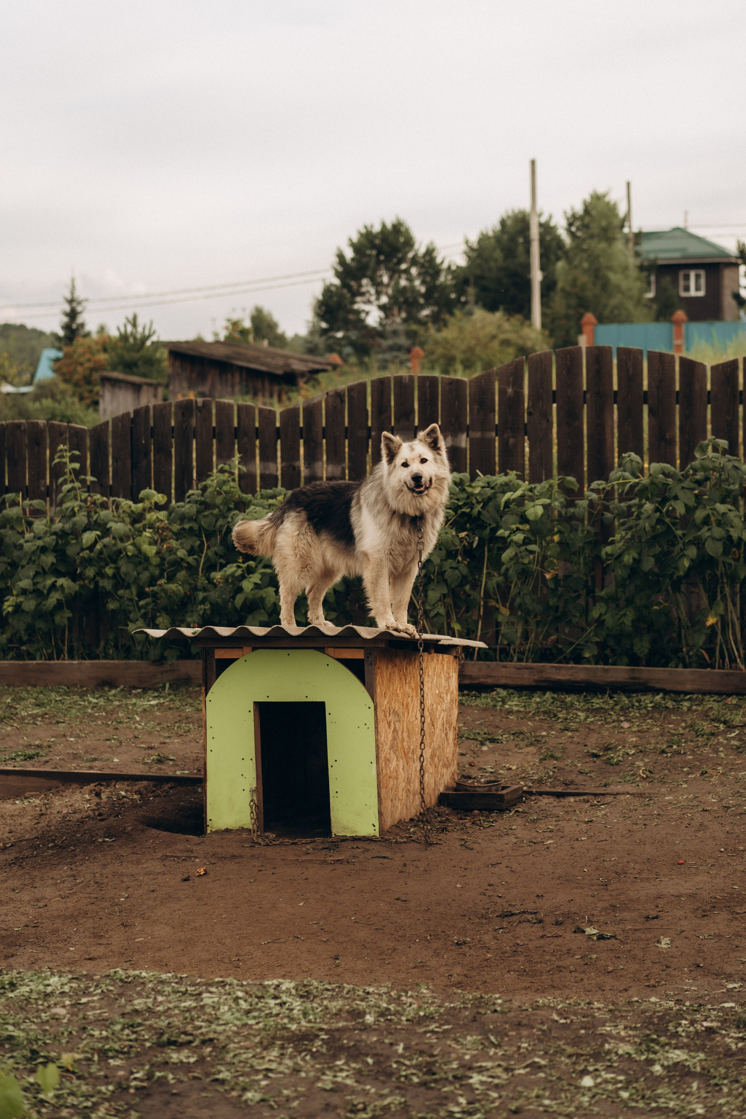 Удачные дела. Семейный фотограф в Ангарске/ Иркутске