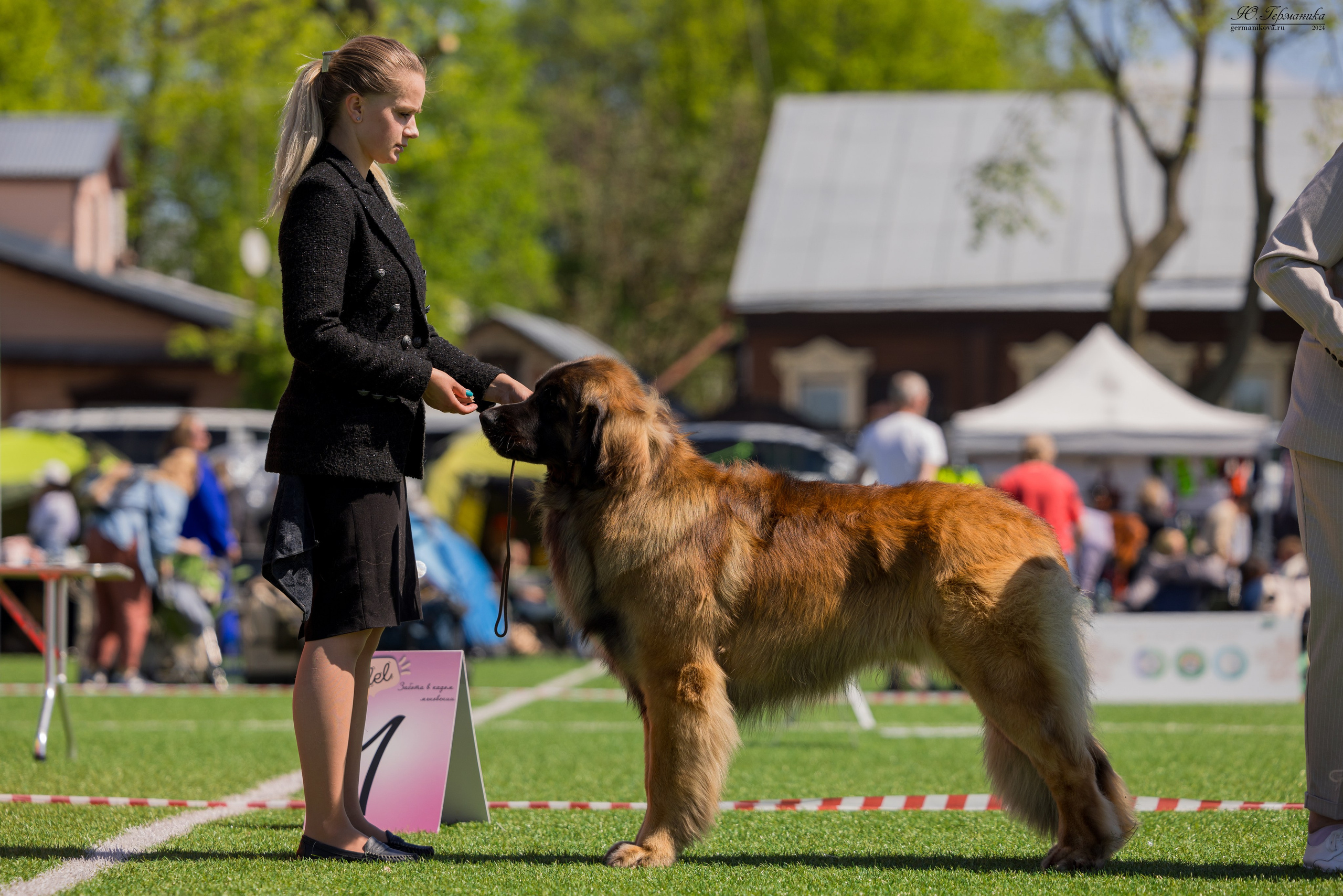 Суздаль 18-19.05.2024. Фотограф-анималист Юлия Германика