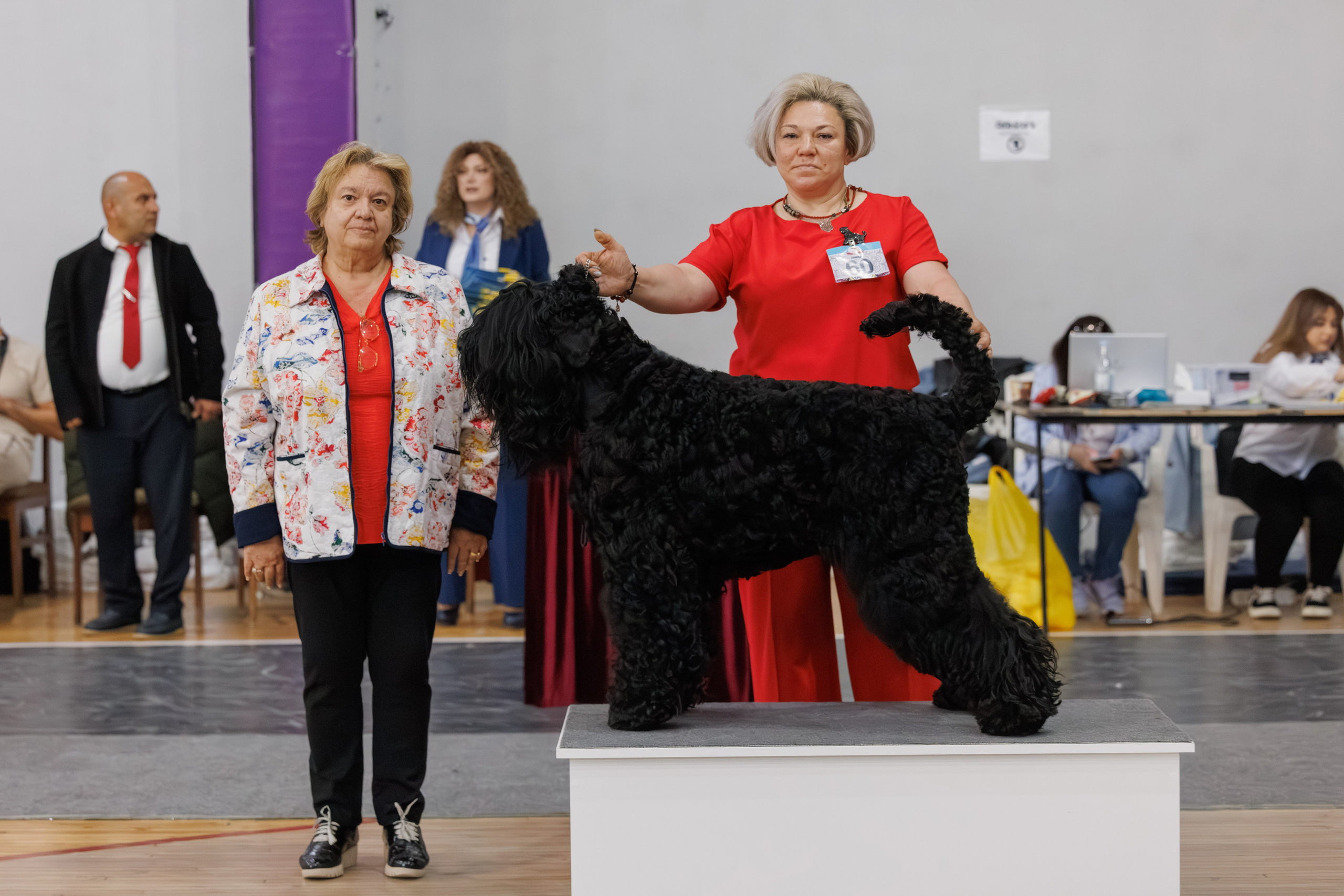 Ереван 2х CACIB 29-30.04.2025. Фотограф-анималист Юлия Германика