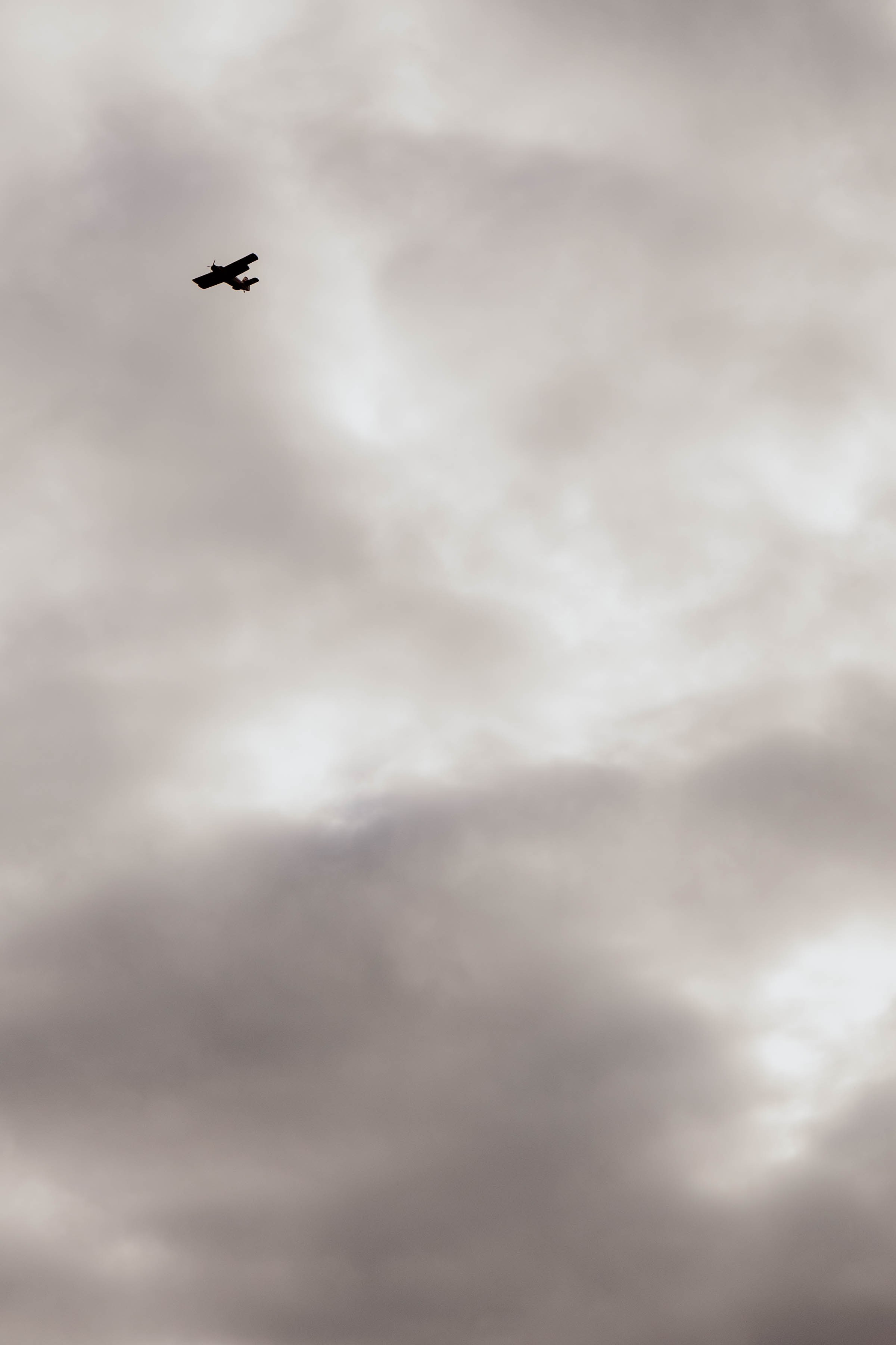 Детский ДР. Льву 3 года. Фотограф Юсова Мария