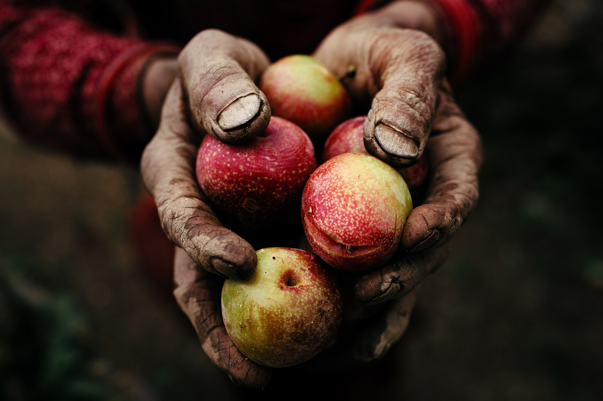 ИЗБРАННОЕ. Visual artist Daniil Kontorovich