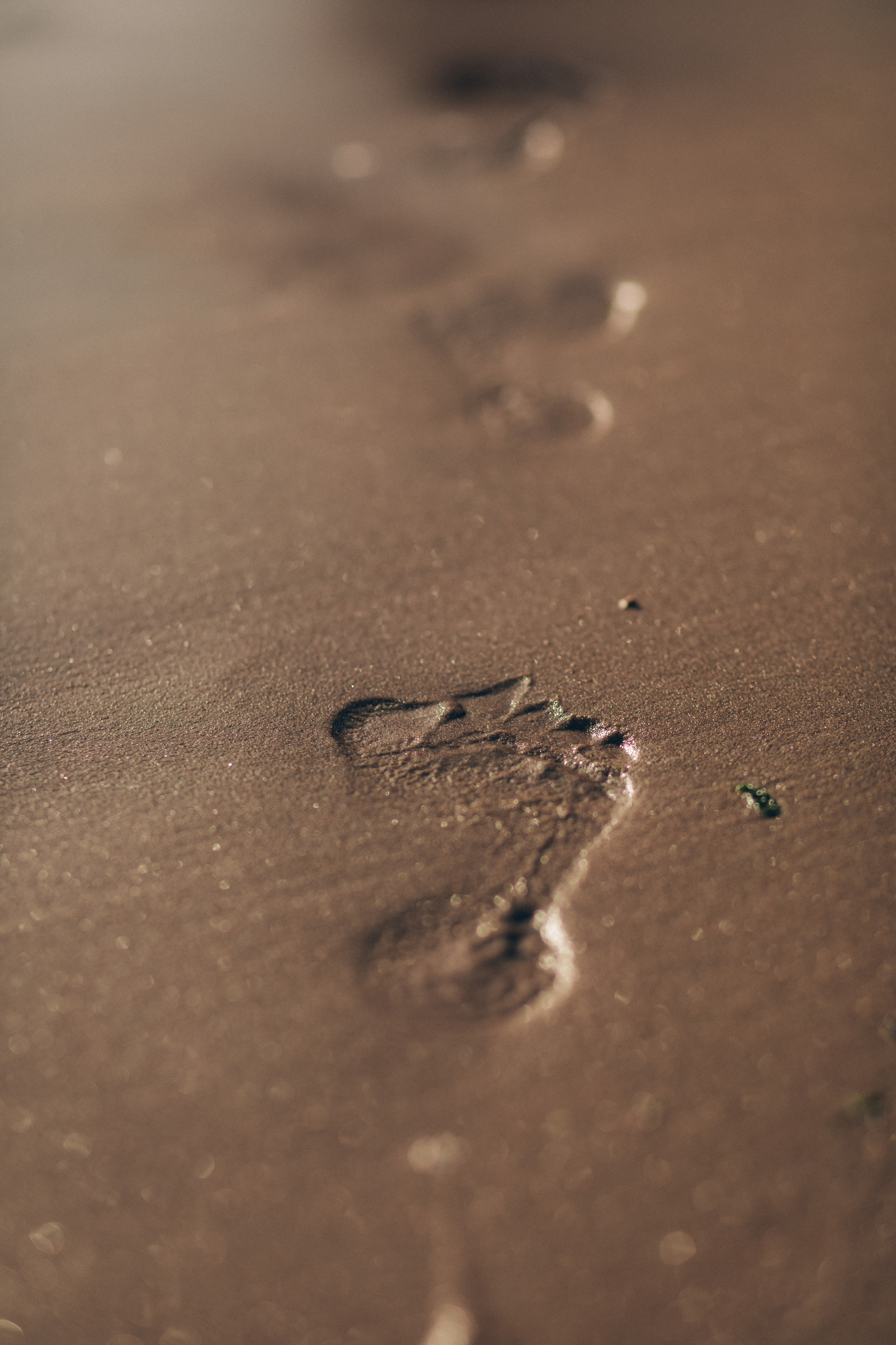 Фотосъемка на Финском заливе. Фотограф из Санкт-Петербурга Оксана Валковая. Женский портрет. Портрет