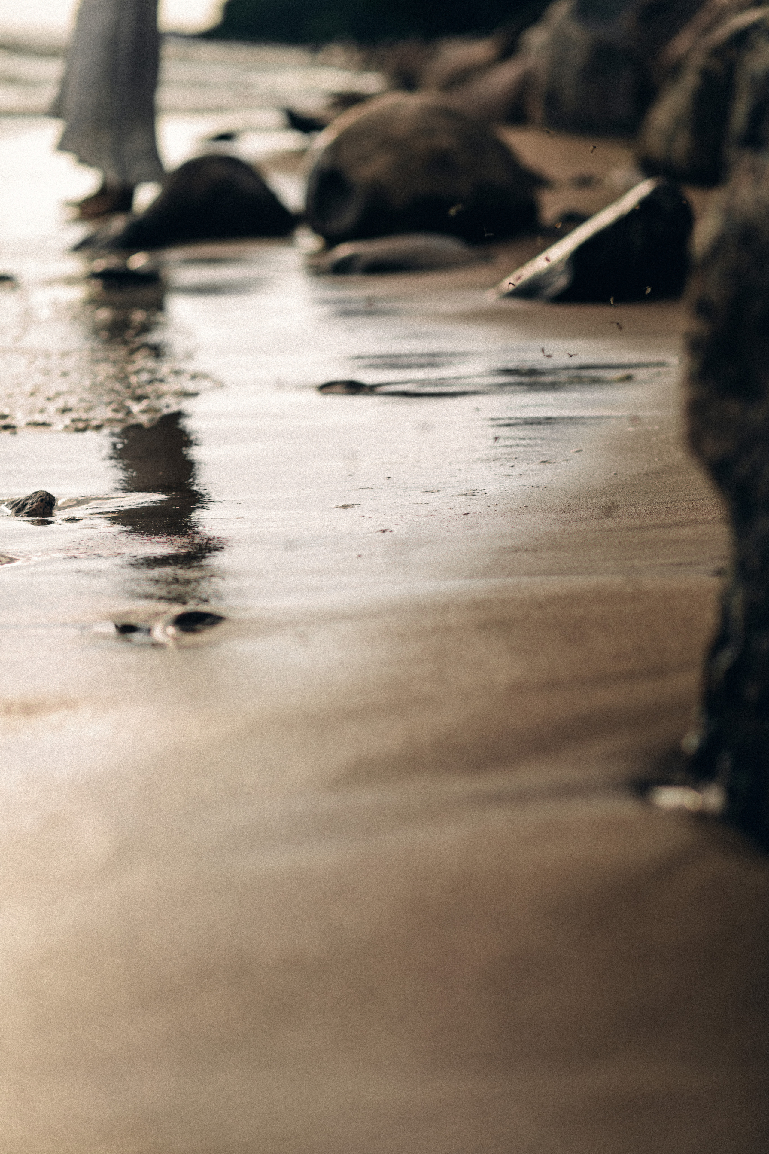 Фотосъемка на Финском заливе. Фотограф из Санкт-Петербурга Оксана Валковая. Женский портрет. Портрет