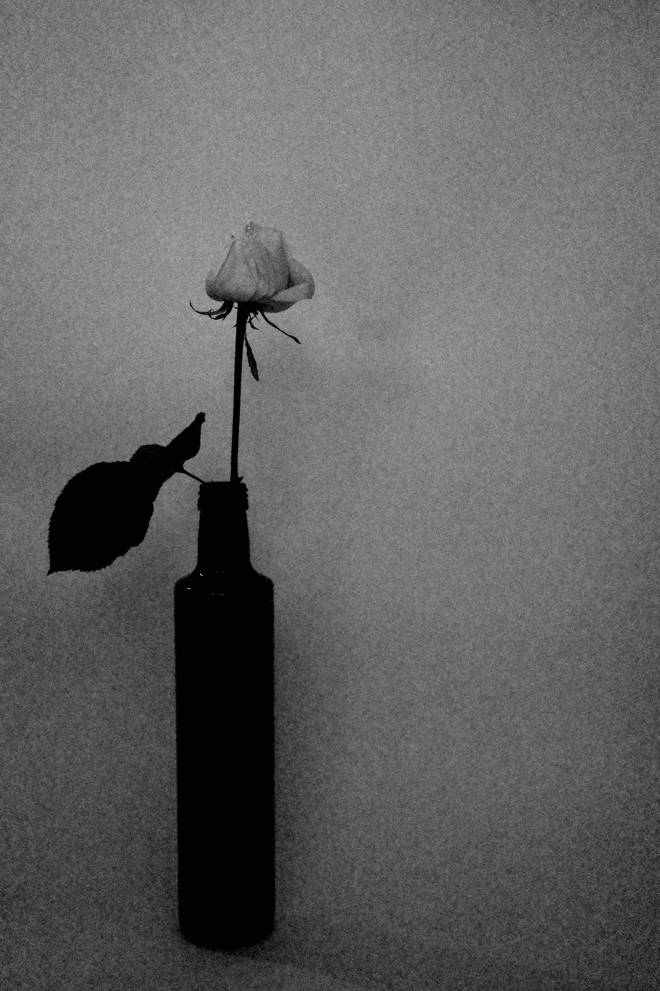 Черно-белое. Миша Печёнкин | фотография