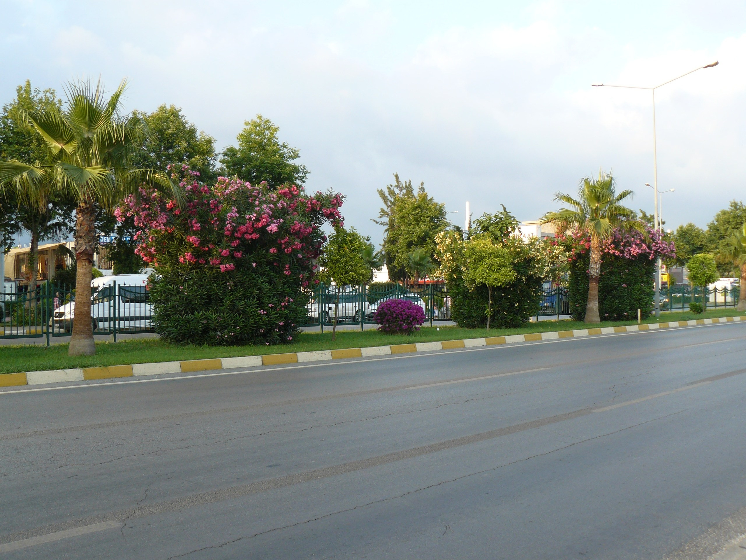 Конаклы 2015 встреча. Фотопрогулки по Миру