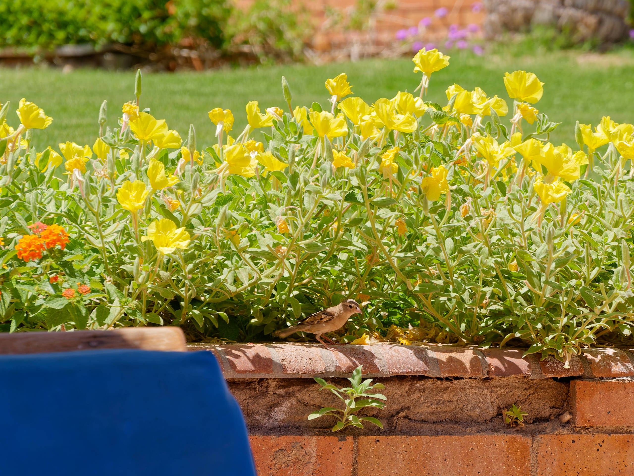 Шарм-эль-Шейх 2022 (1). Избранные фотографии