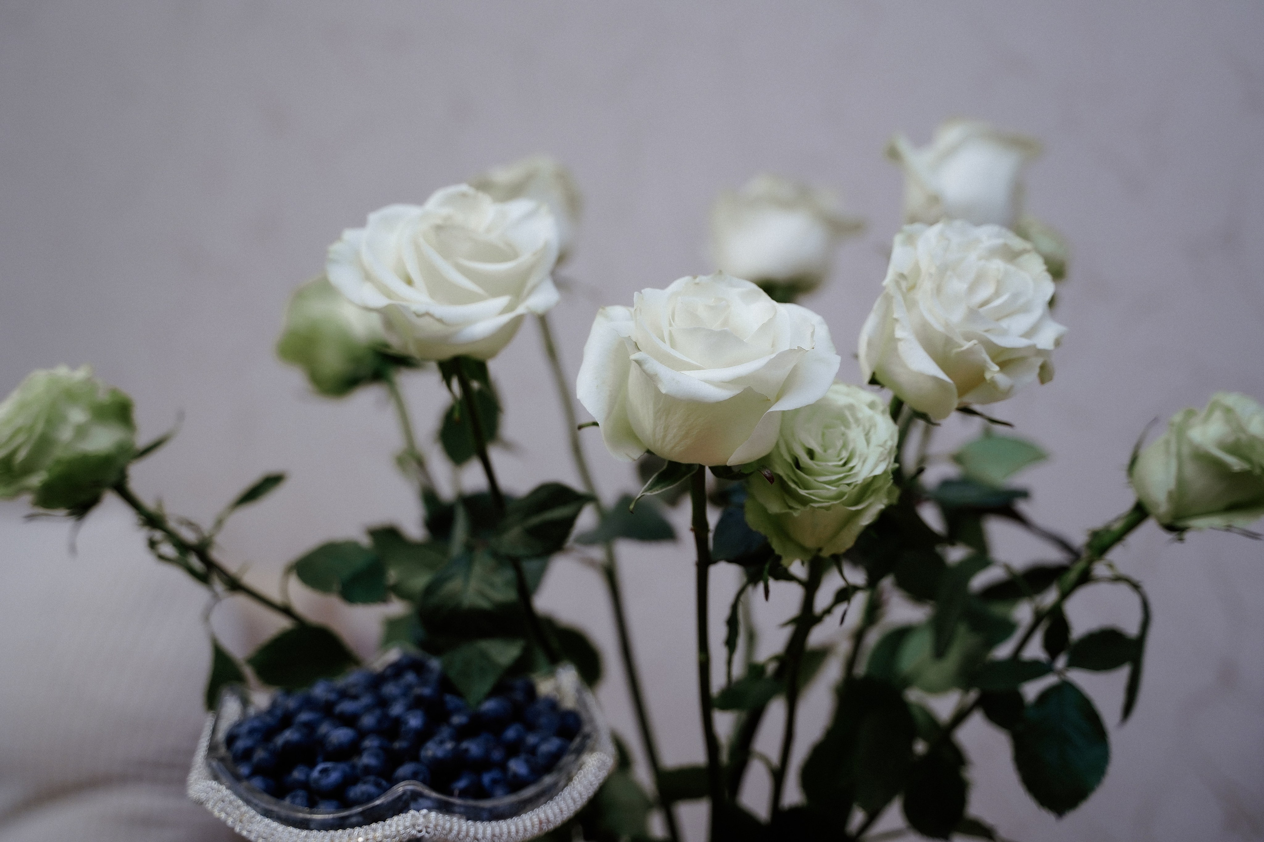 Алиса & Вааг. Фотосъемка и видеосъемка свадеб Липецк