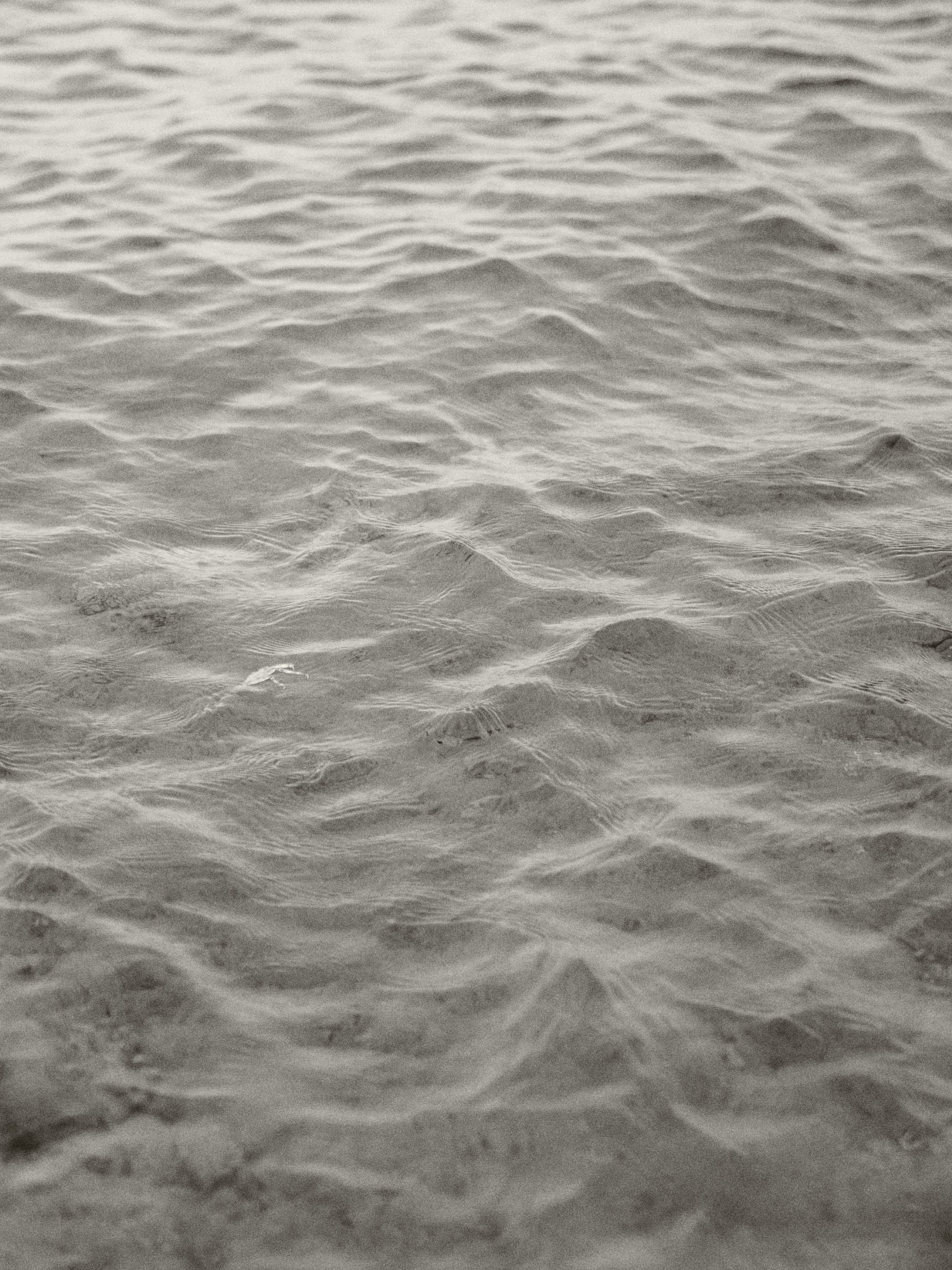 B&W. Jorgis — фотограф в Хургаде / обучение фотографии