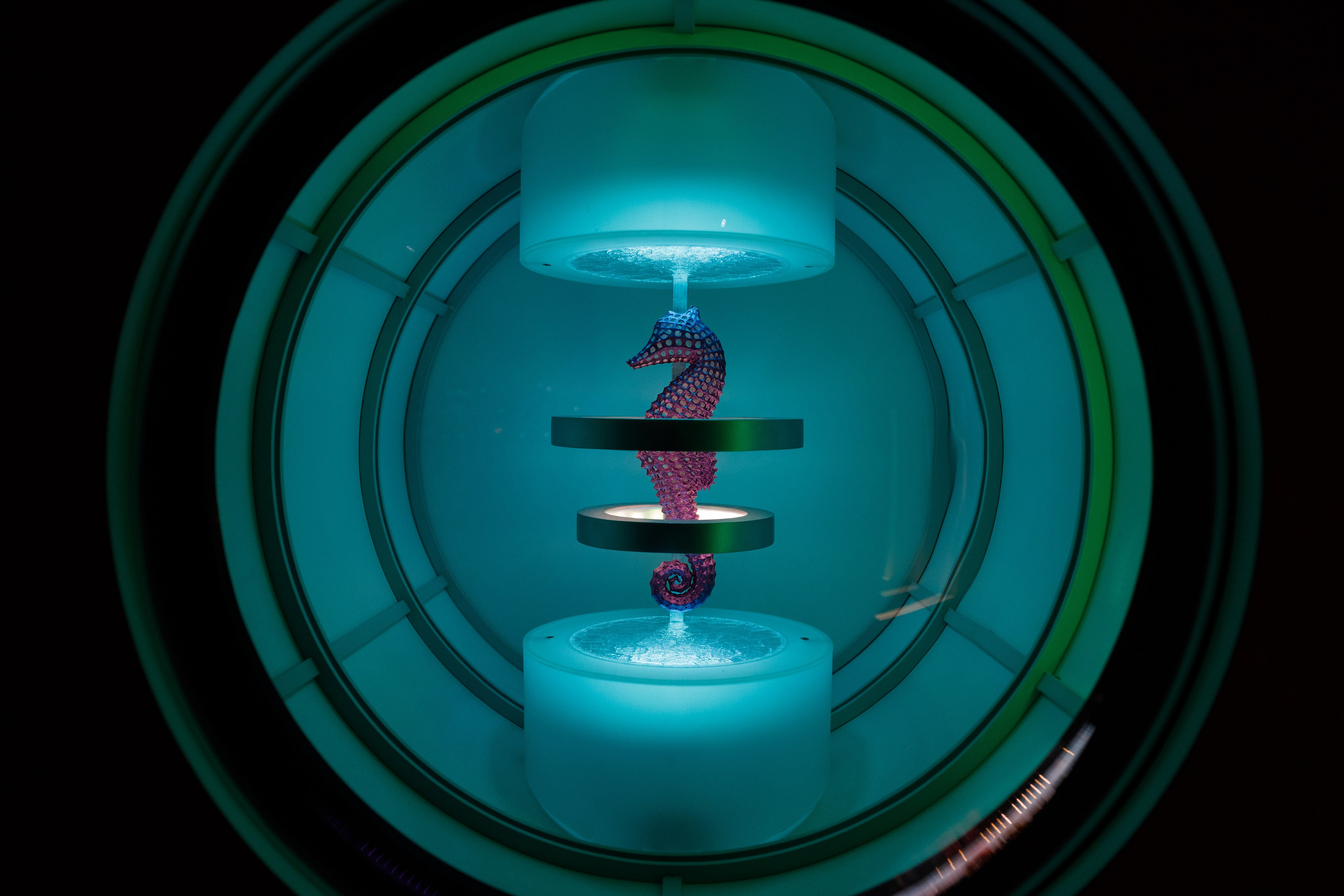 Дубай 2023. Руслан Плахтеев