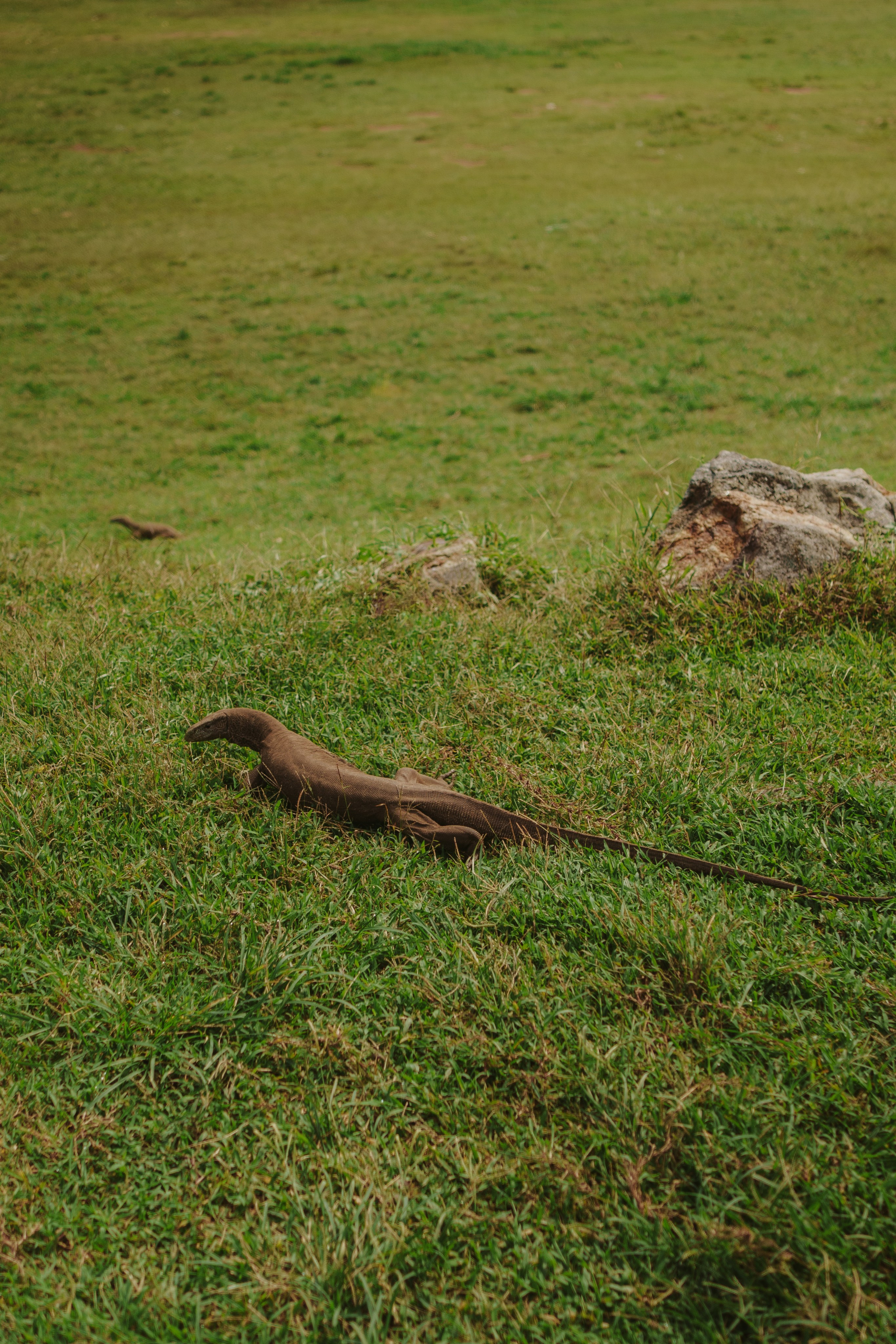 Серф-тур на Шри-Ланку: 12 дней у океана