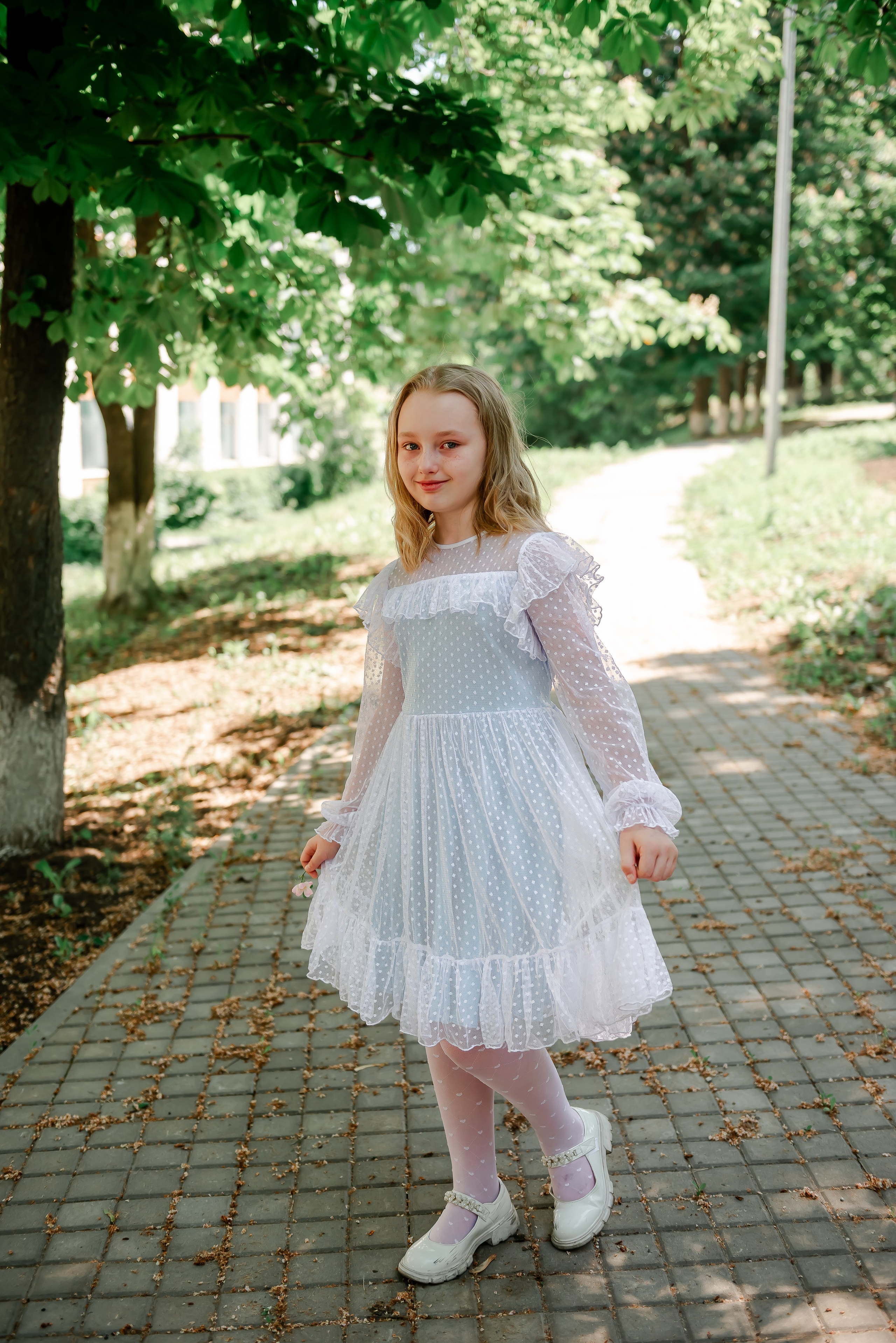 4 «Б» |г.Белгород |31 школа|2024-2025. ALBUMIA