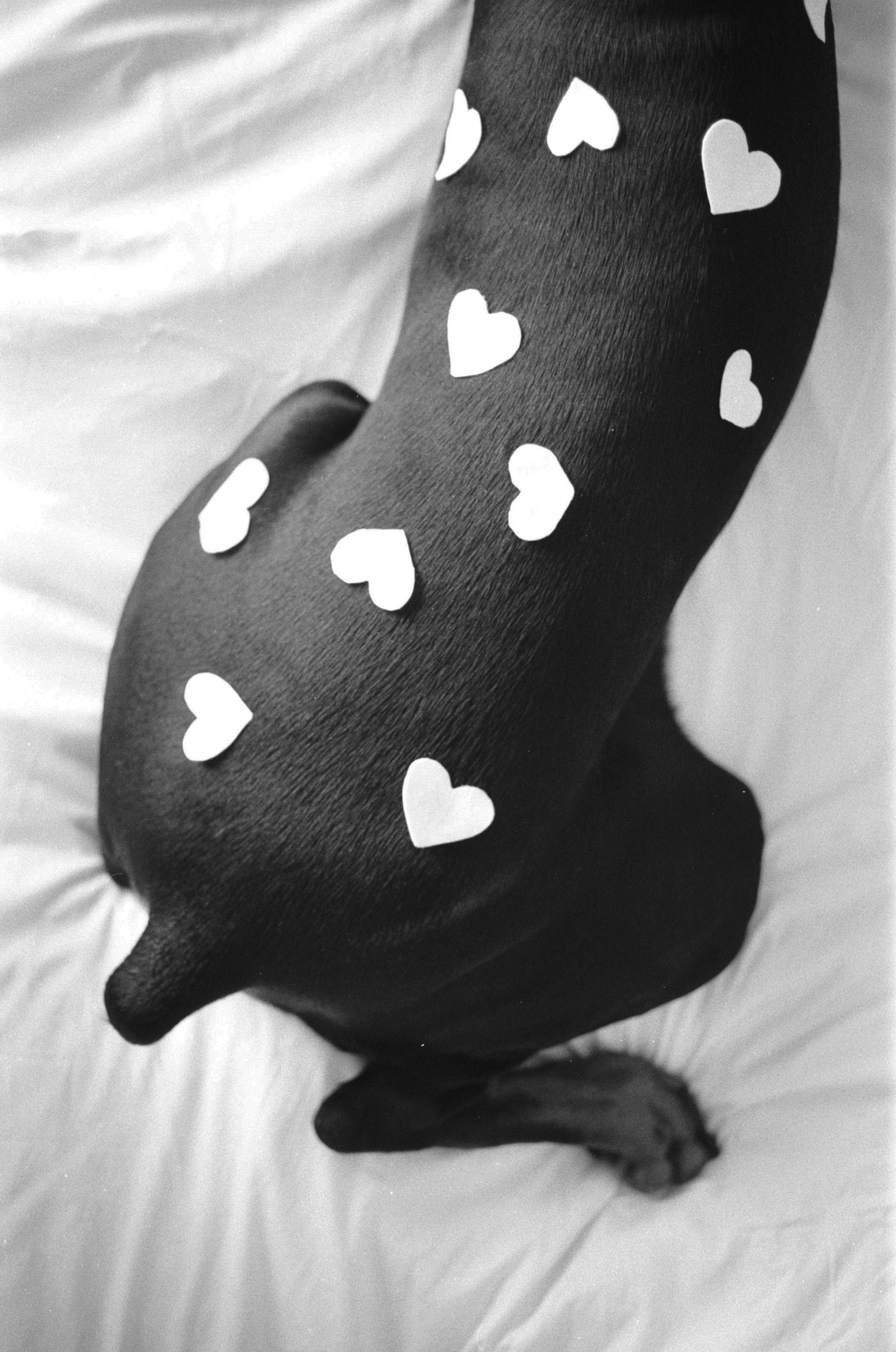 Valentine’s Day (35мм). Katyavasileva