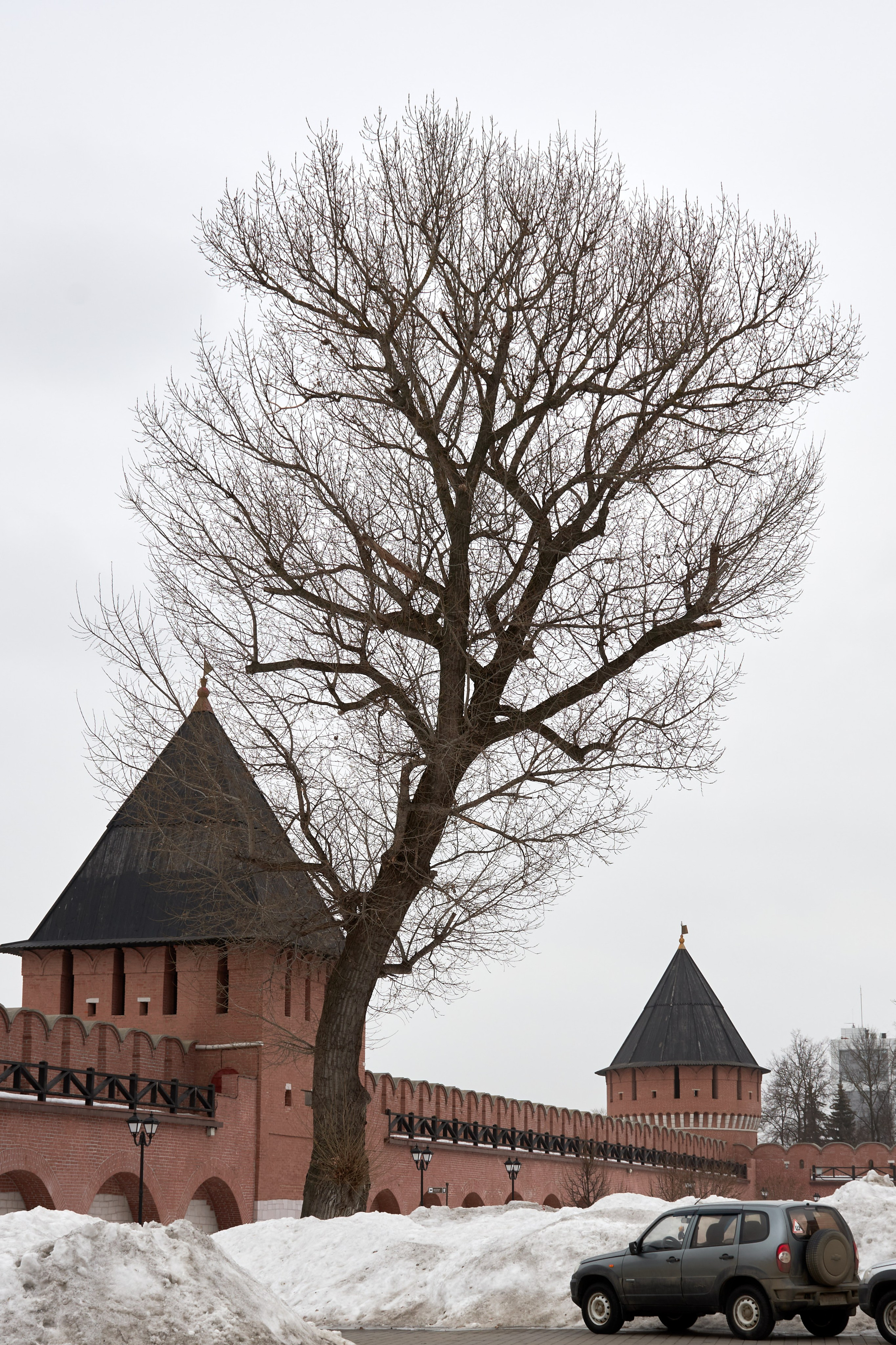 20210316-18 Тула. Дмитрий Ремизов. Фотография, как хобби