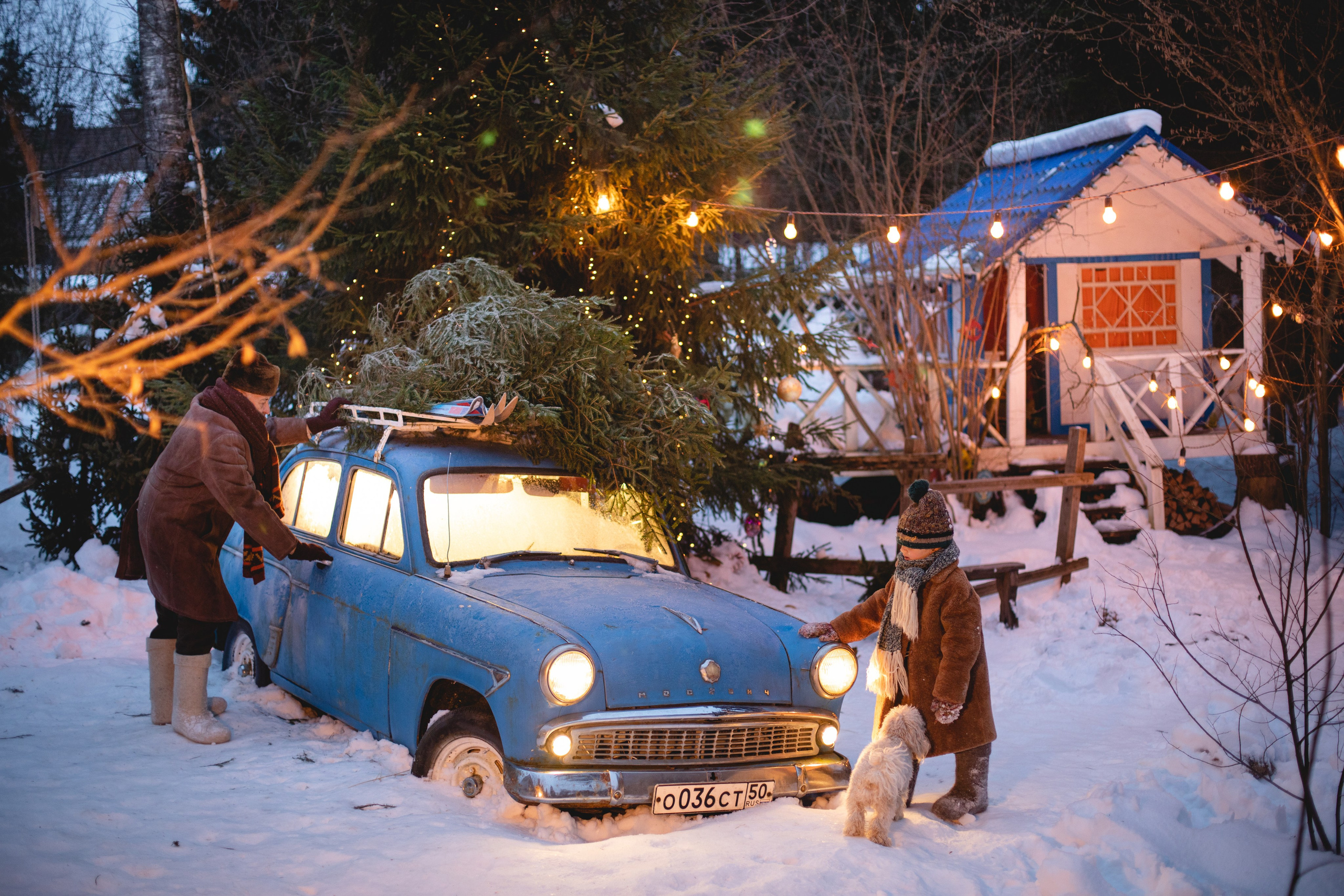 Домик в лесу. Семейный фотограф в Москве Анастасия Гурьянова